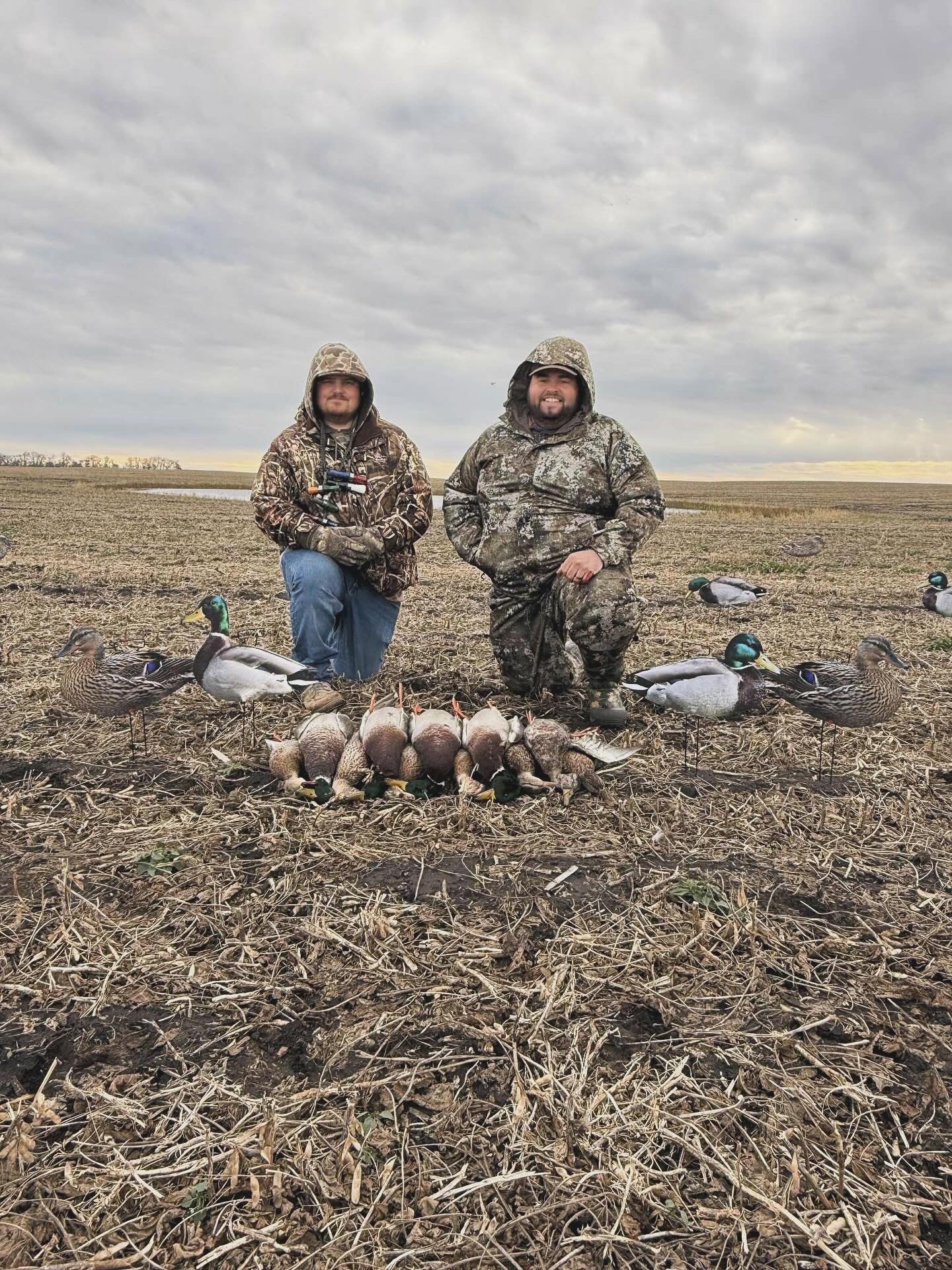 Mallard Duck Silhouette Decoys "Per Dozen"