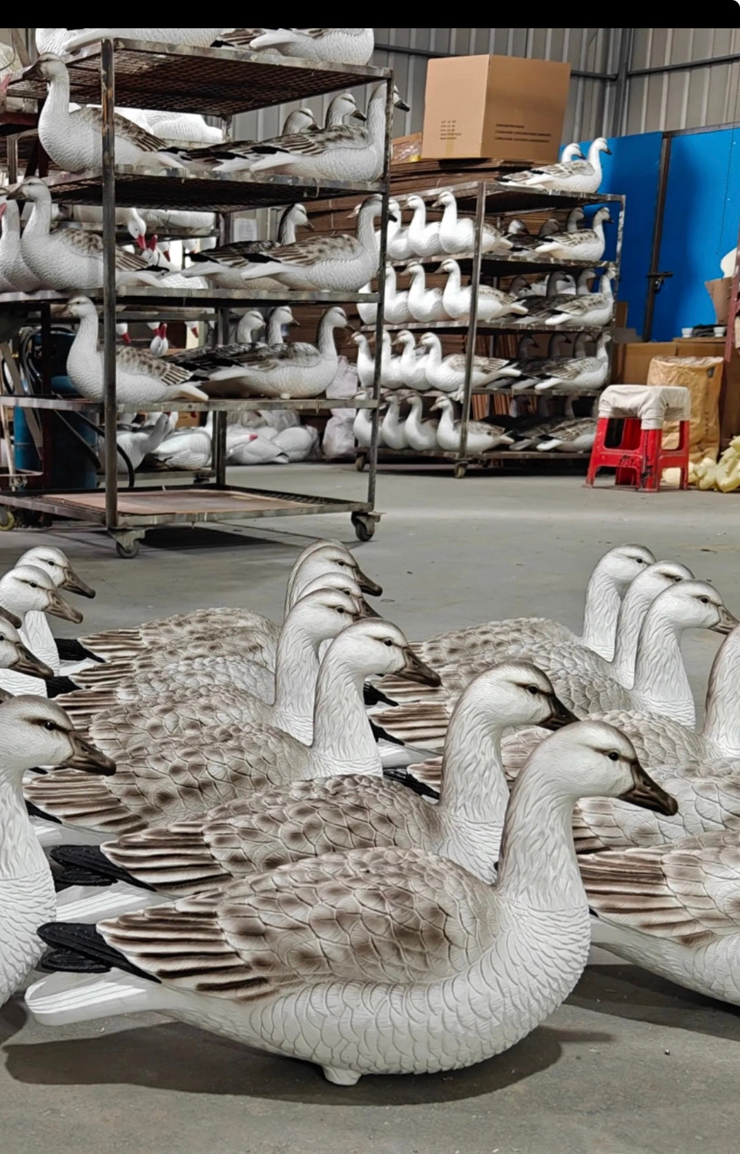 Full Body Juvie Snow Goose Decoys "PE Plastic" (hard body) - "Per 6-Pack"