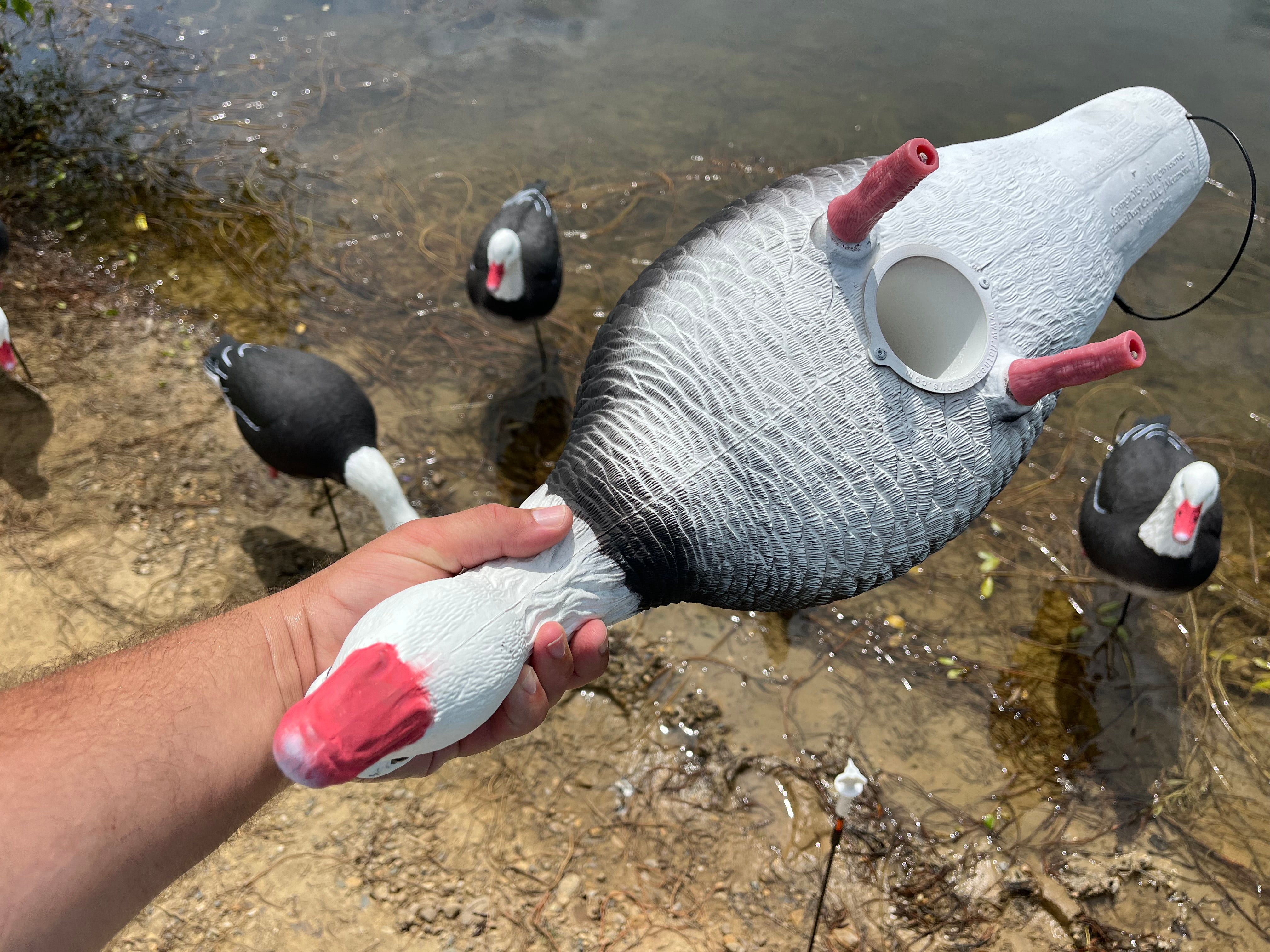 Full Body Blue Goose Decoys "PE Plastic" (hard body) - "Per 6-Pack"