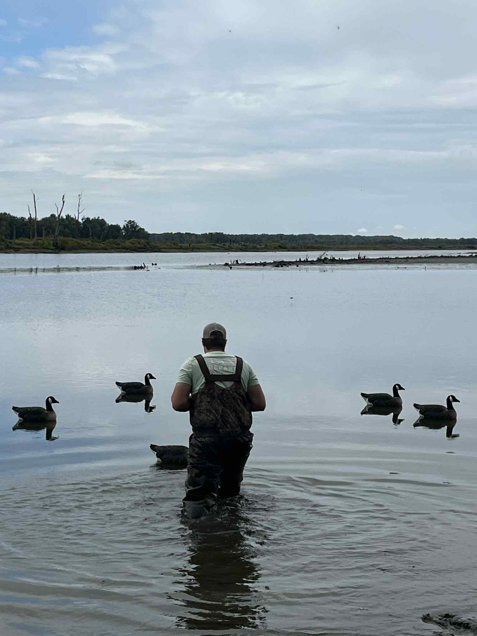 "Pre-Order Sale" Canada Goose Floater Decoys with Flocked Heads "PE Plastic" (hard body) "Per 6-Pack"