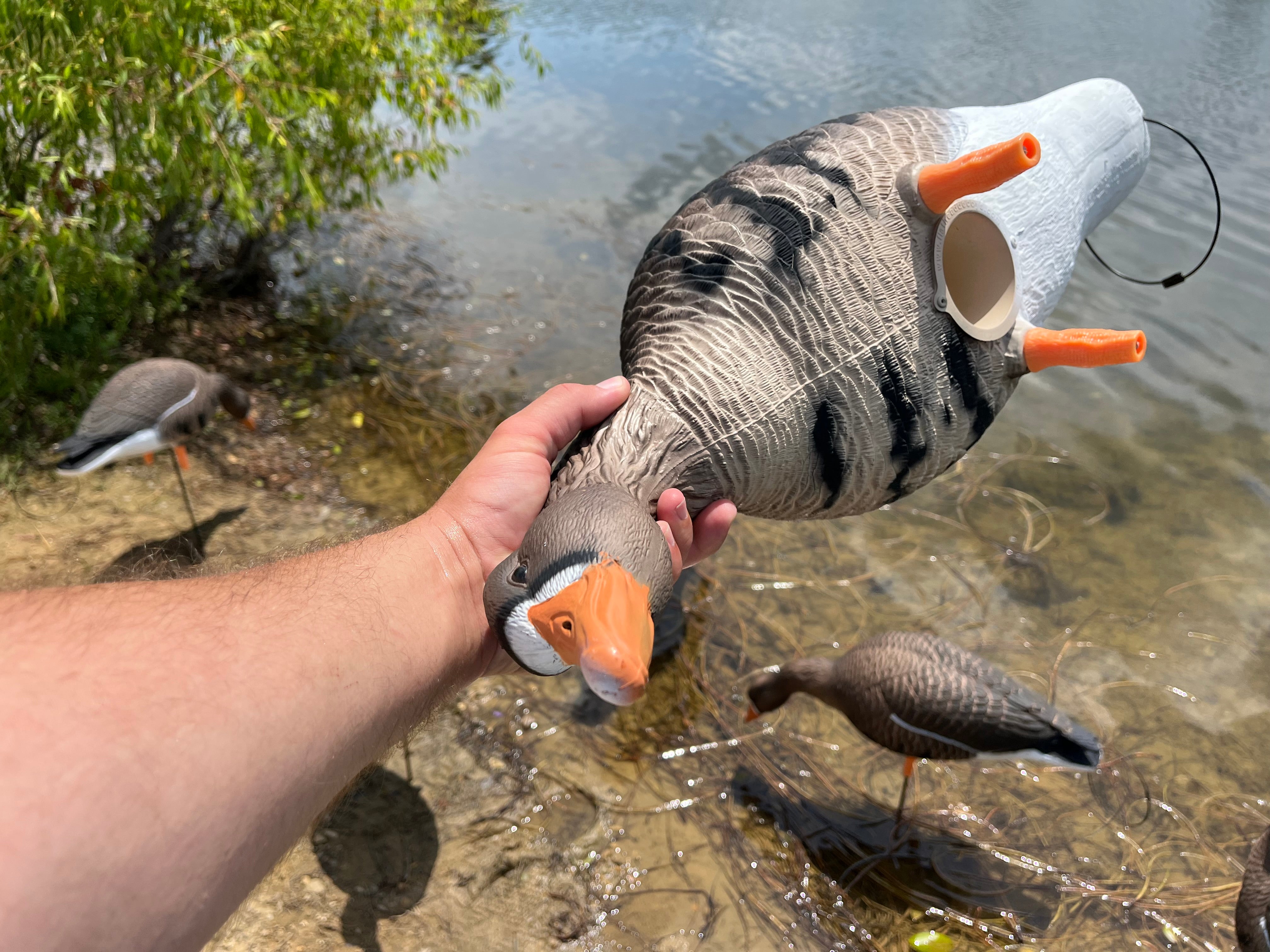 Full Body Specklebelly Goose Decoys "PE PLASTIC" with 14” Square Bases - "Per 6-Pack"