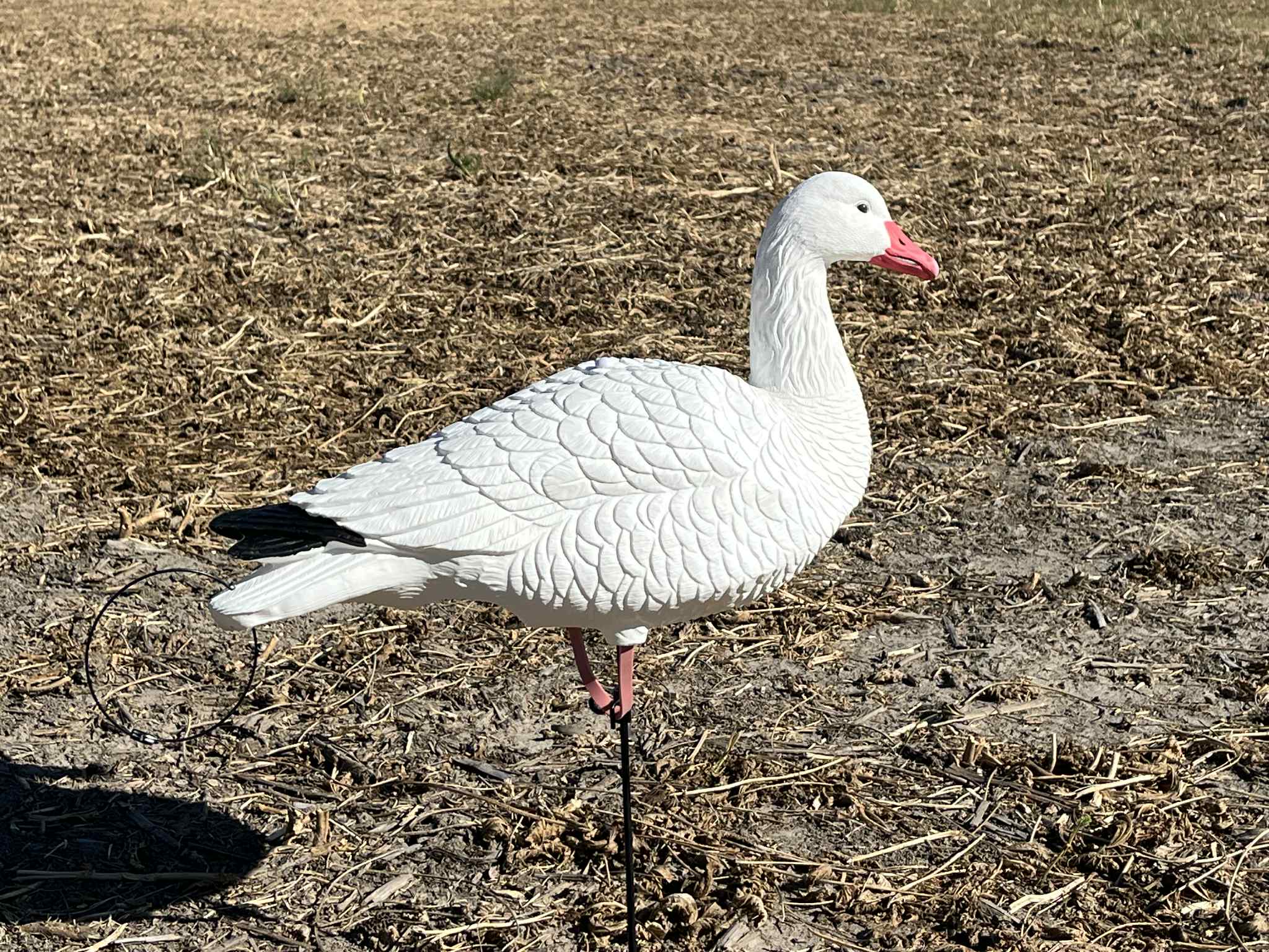 *PRE-ORDER SALE* Full Body Snow Goose Decoys "EVA Plastic" (flexible body) - “Per Dozen”