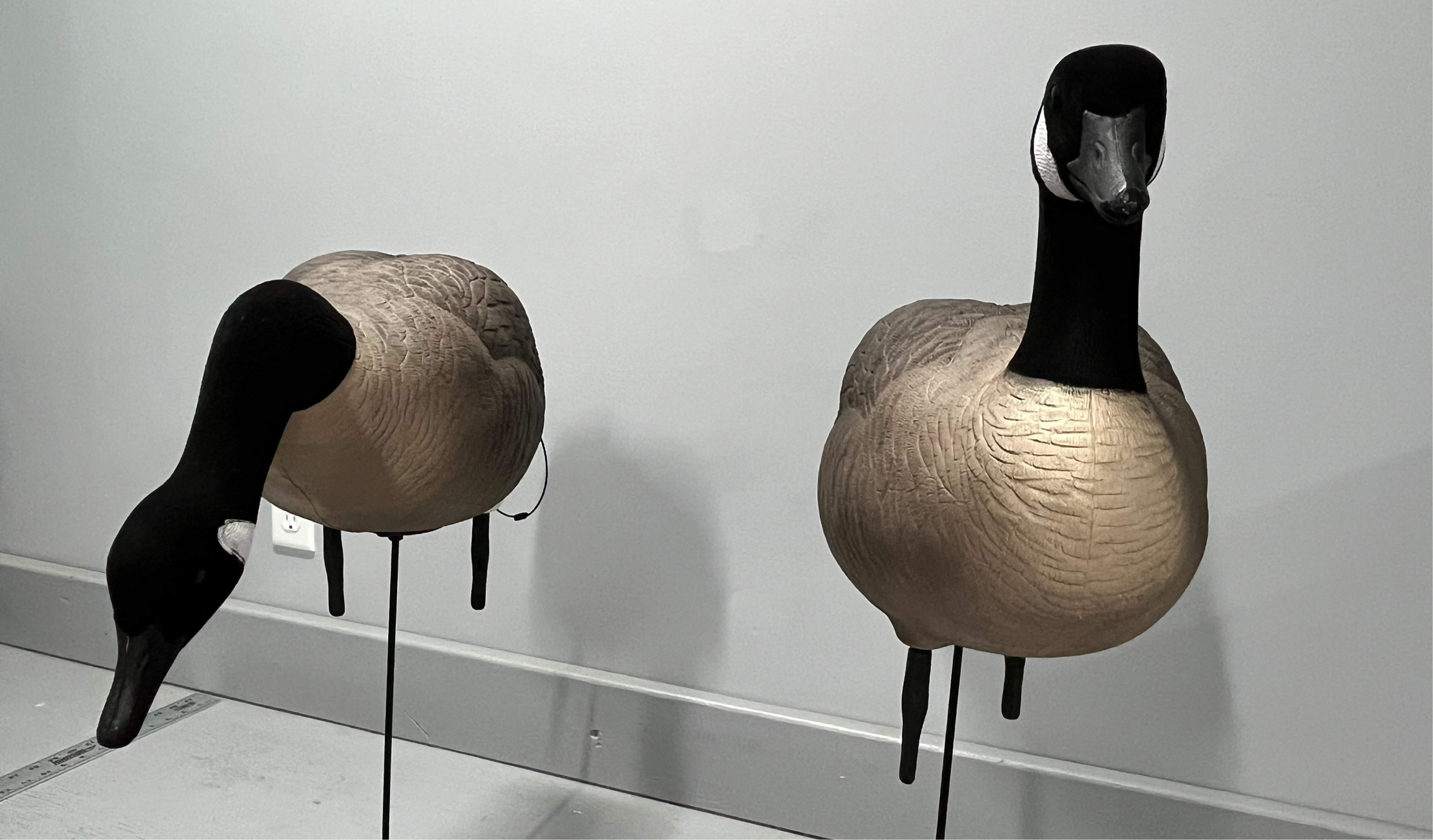 * Pre-Order Sale * Full Body "Magnum" Canada Goose Decoys "PE Plastic" with Flocked Heads. - "Per 6-Pack"