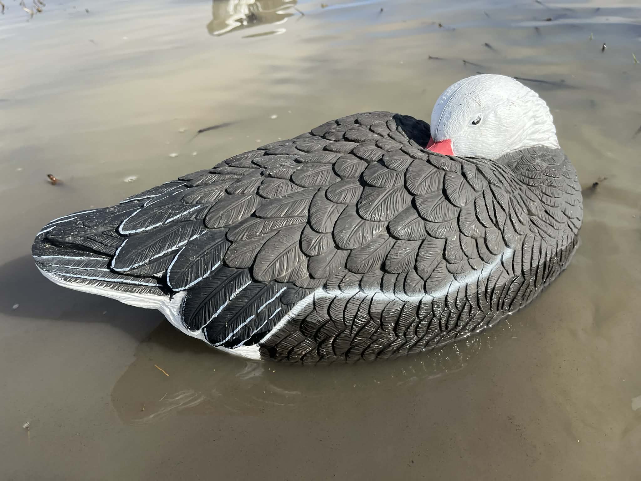 Blue Goose Floater Sleeper Decoy "PE Plastic" (hard body) "Per 6-Pack"