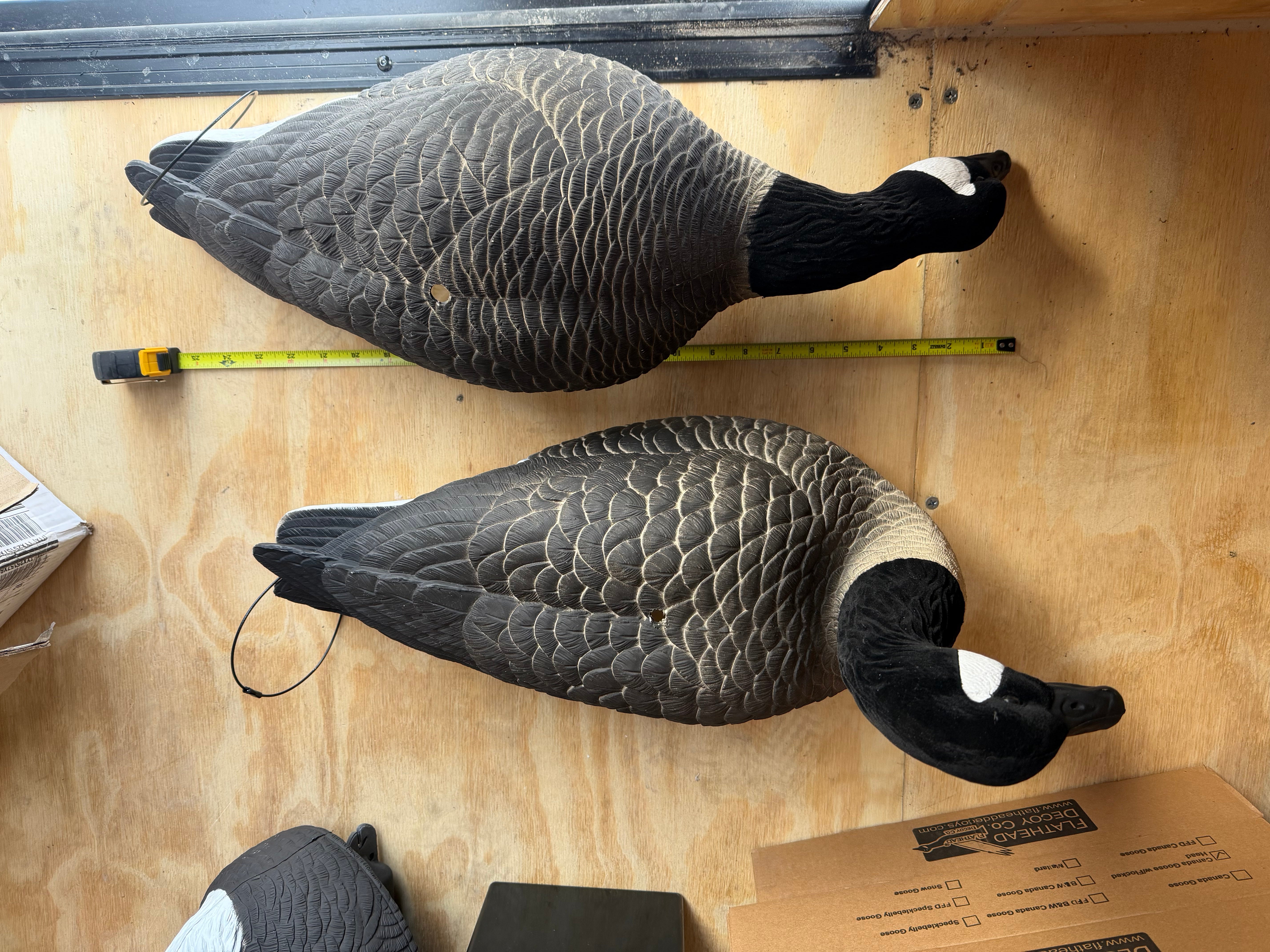 Full Body Canada Goose “Lesser” Decoys "EVA Plastic" (flexible body) - ”Per Dozen"