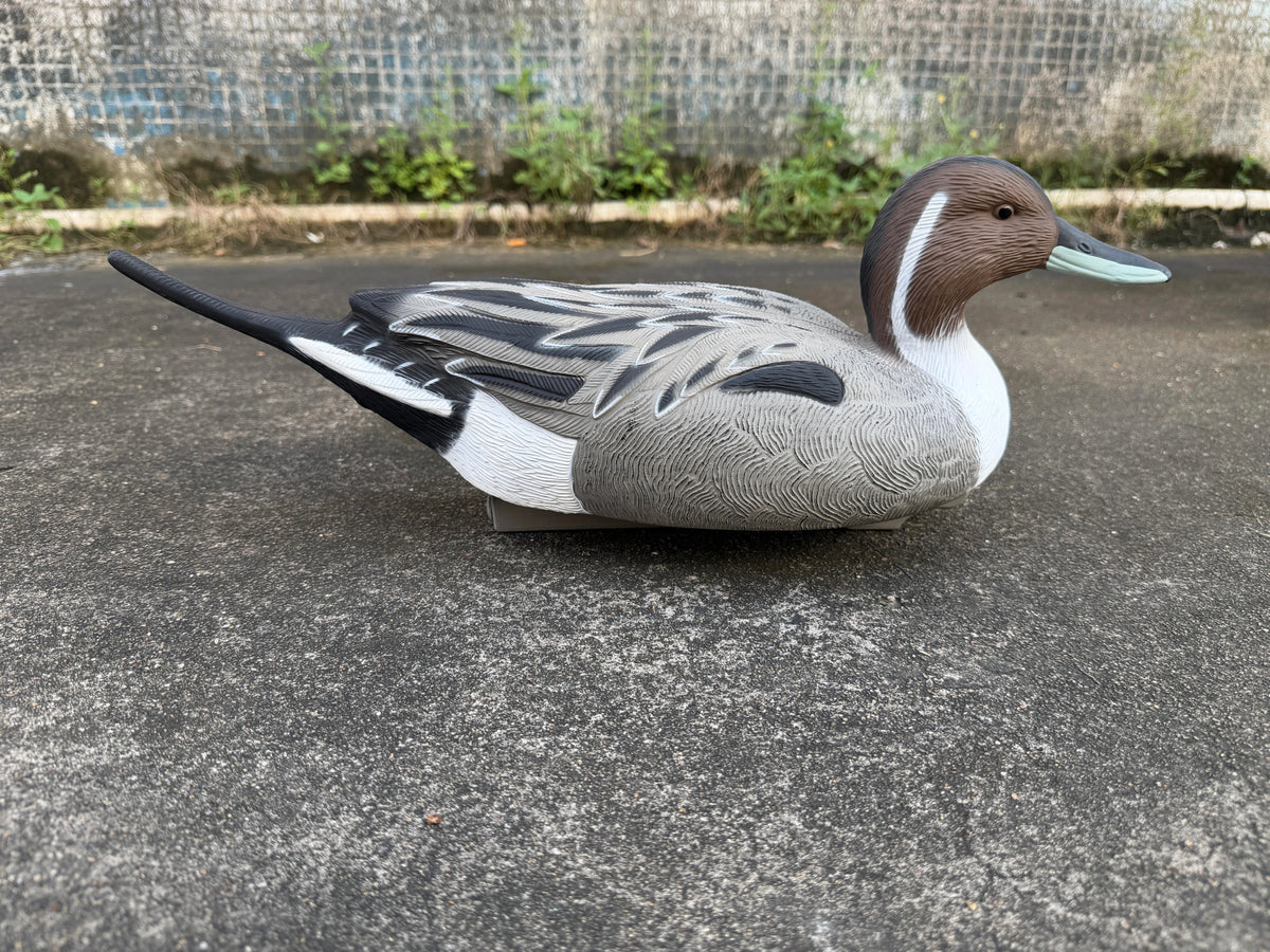 "Pre-Order Sale" Oversized Drake Pintail Duck - Floater Decoys “Per-Dozen”