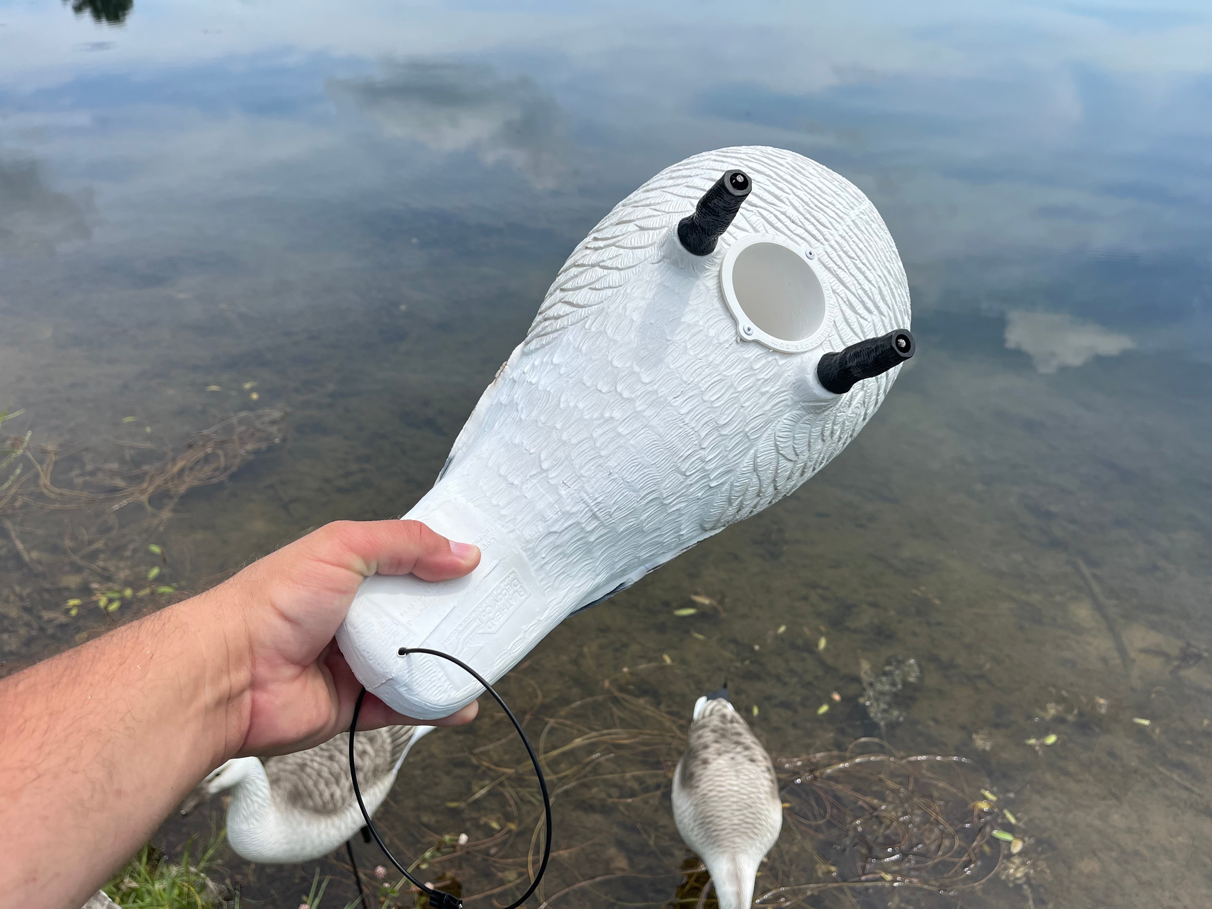 Full Body Snow Juvie Goose Decoys "PE Plastic" (hard body) - "Per 6-Pack"