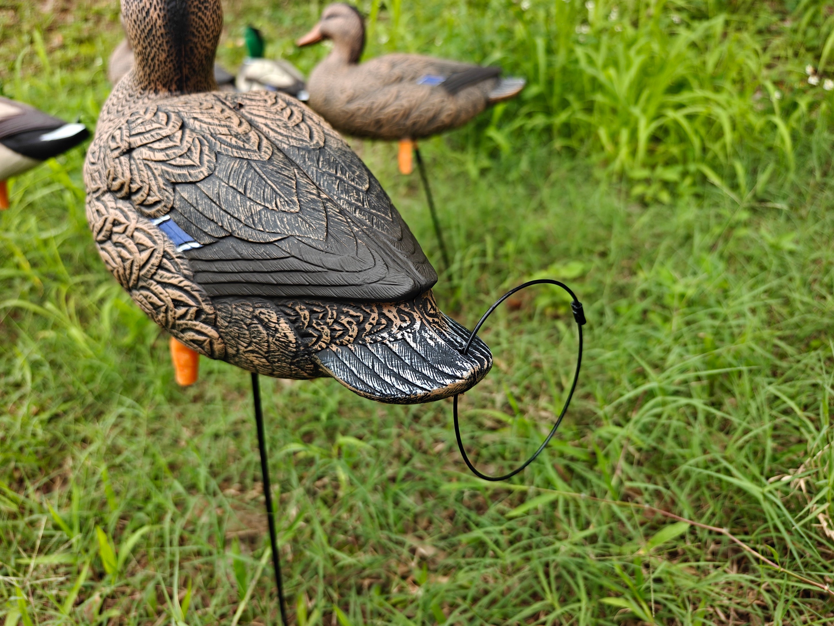 * PRE-ORDER SALE * "MAGNUM" Full Body Field Mallard Duck Decoys “PE Plastic” (hard body) FLOCKED HEADS ON DRAKES