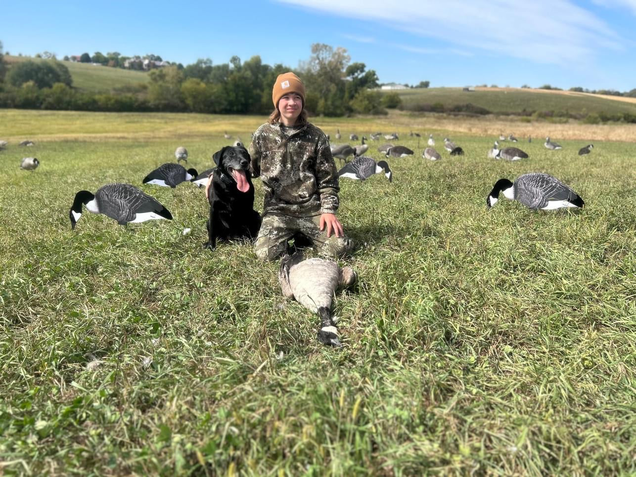 Canada Goose Silhouette Decoys w/Flocked Head” OUTFITTERS (60) PACK" FREE BAG!