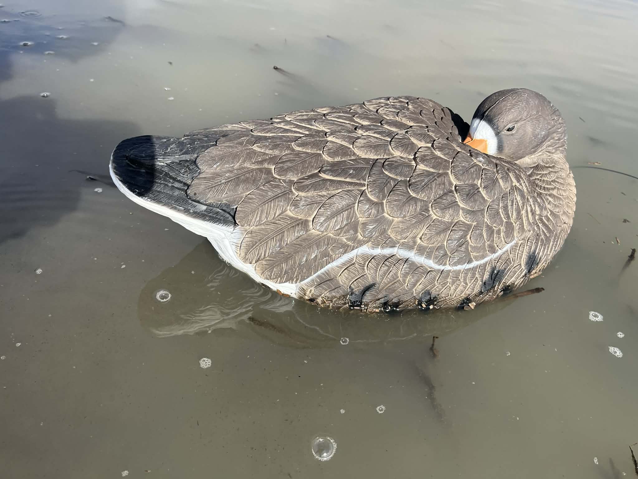 Specklebelly Goose Sleeper Floater Decoy "PE Plastic" (hard body) “Per 6-Pack”