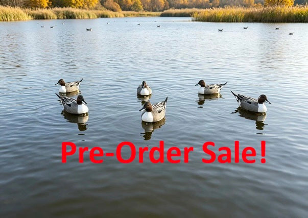 "Pre-Order Sale" Oversized Drake Pintail Duck - Floater Decoys “Per-Dozen”