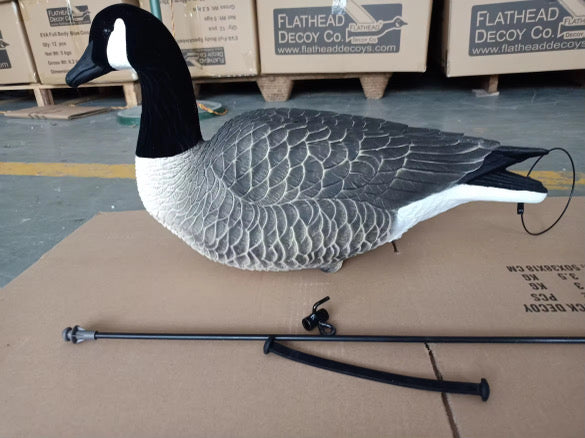 Full Body EVA Lesser Decoys Now in Stock