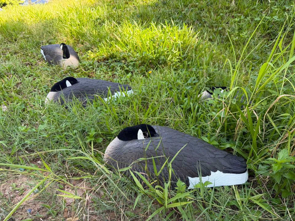 *PRE-ORDER SALE* Canada Goose Sleeper Shells "Per 6-Pack"