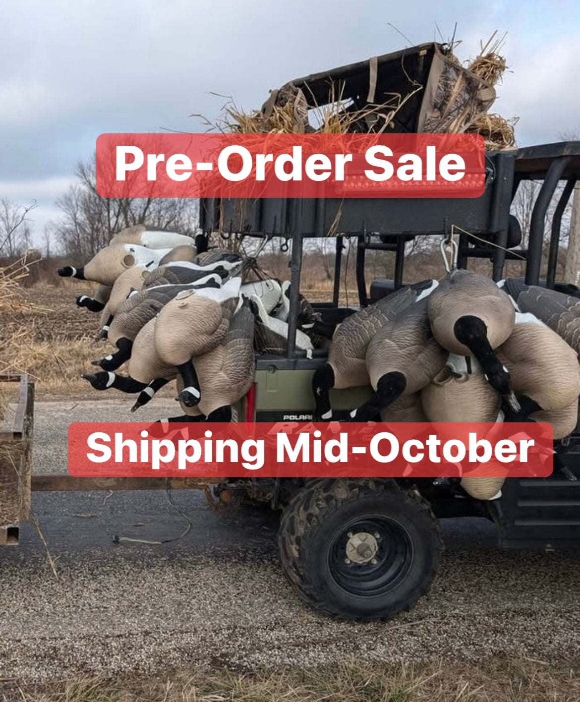 * Pre-Order Sale * Full Body "Magnum" Canada Goose Decoys "PE Plastic" (hard body) with Flocked Heads and Square Bases - "Per 6-Pack"