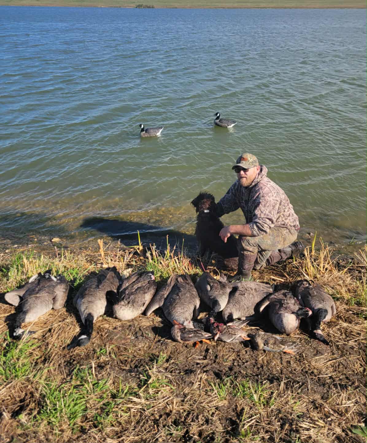Canada Goose Floater Decoys with Flocked Heads "PE Plastic" (hard body) "Per 6-Pack"