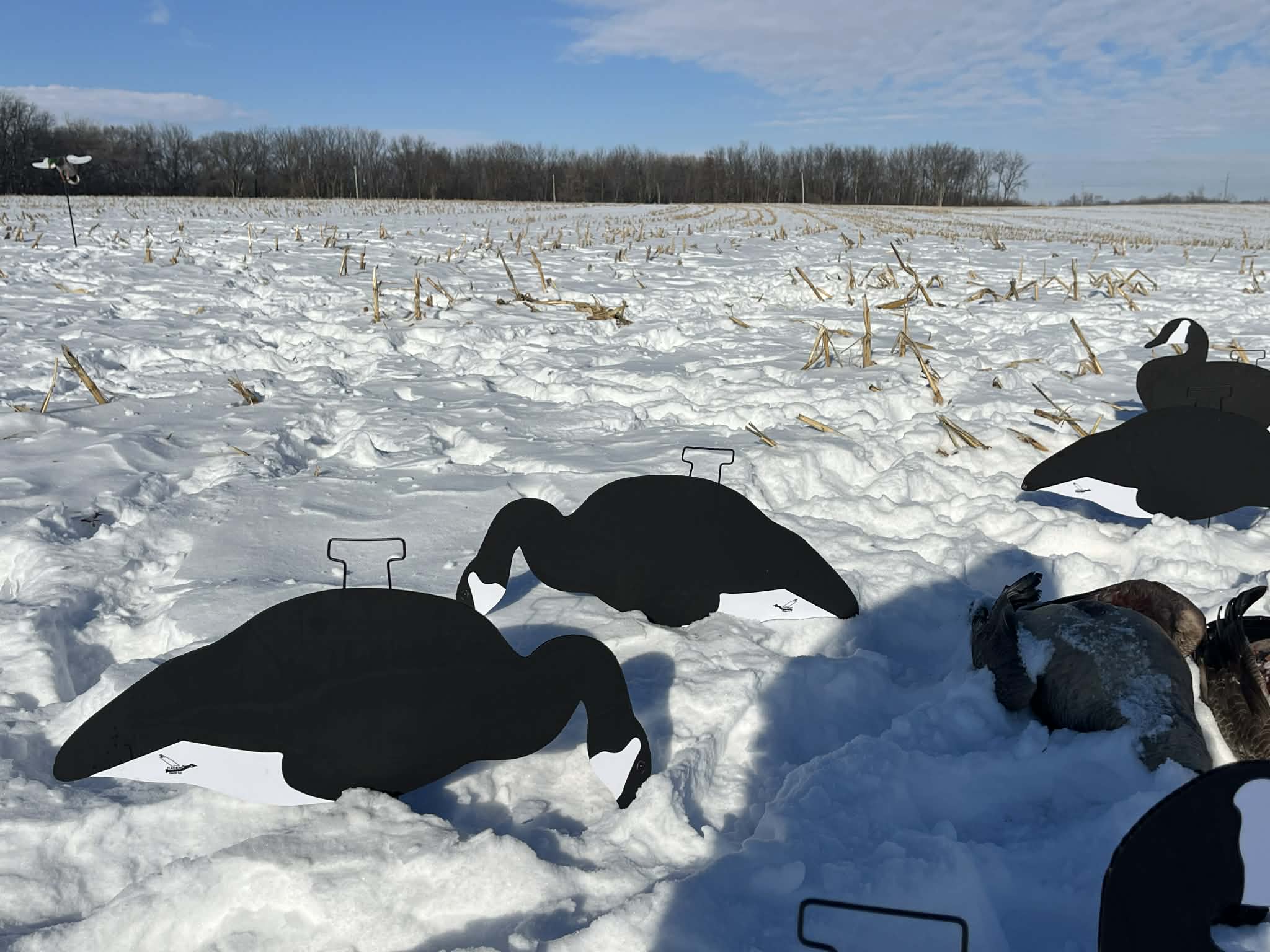 Black & White Canada Goose Silhouette Decoys