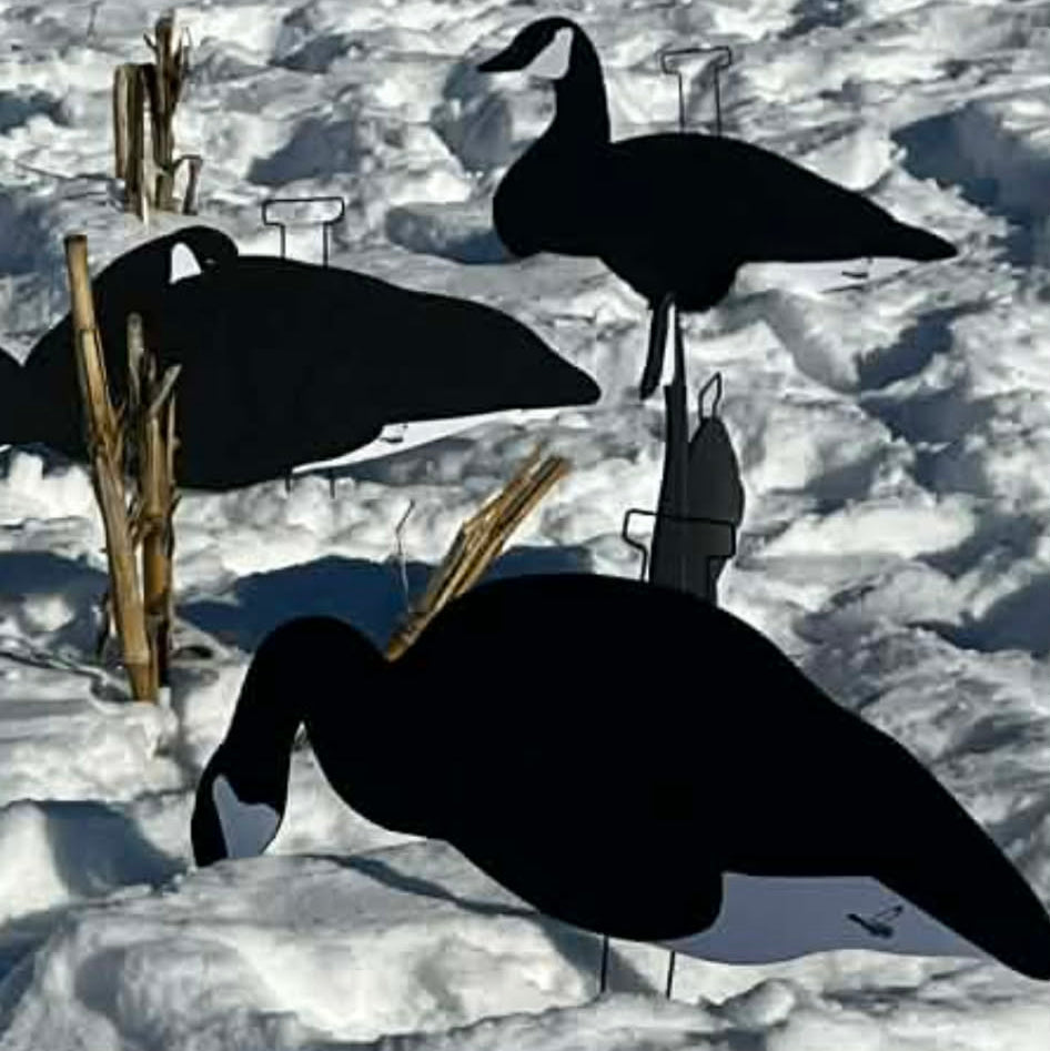 Black & White Canada Goose Silhouette Decoys