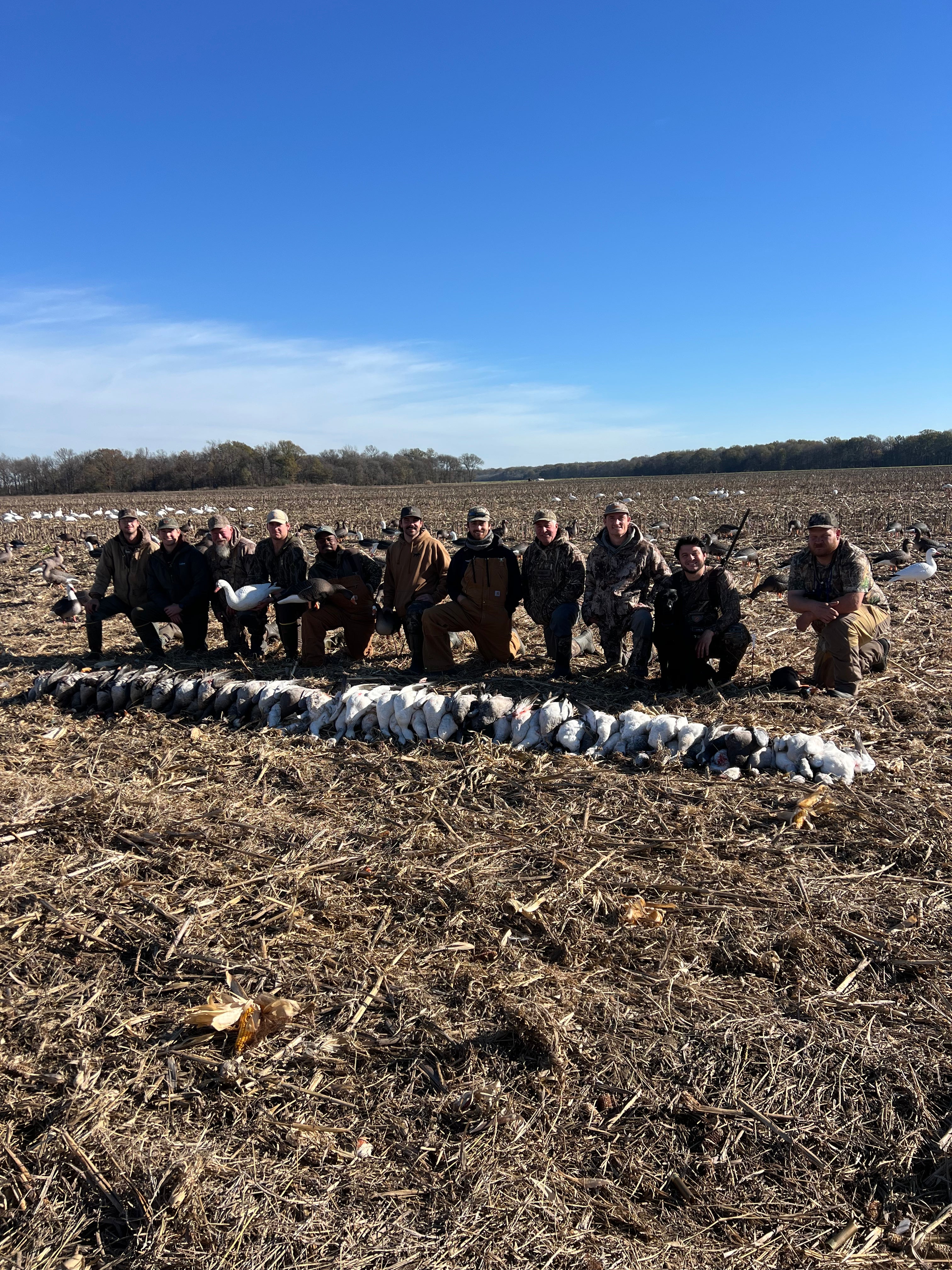 Full Body Snow Goose Decoys "PE Plastic" (hard body) - “Per 6-Pack”