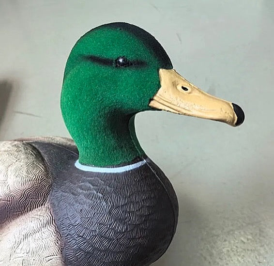 Full Body Field Mallard Duck Decoys “PE Plastic” (hard body) FLOCKED HEADS ON DRAKES