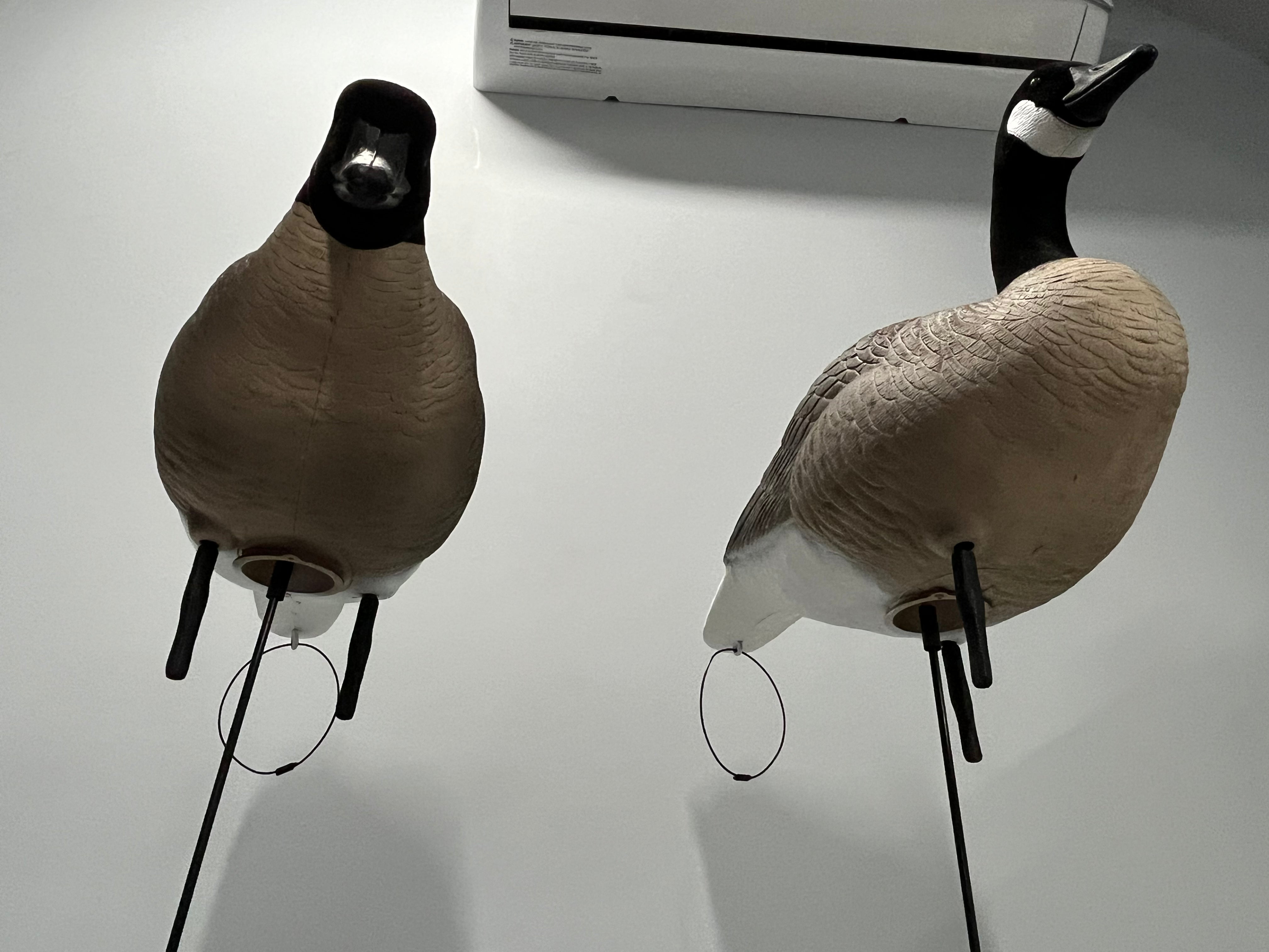 Full Body "Magnum" Canada Goose Decoys "PE Plastic" (hard body) with Flocked Heads and Square Bases - "Per 6-Pack"