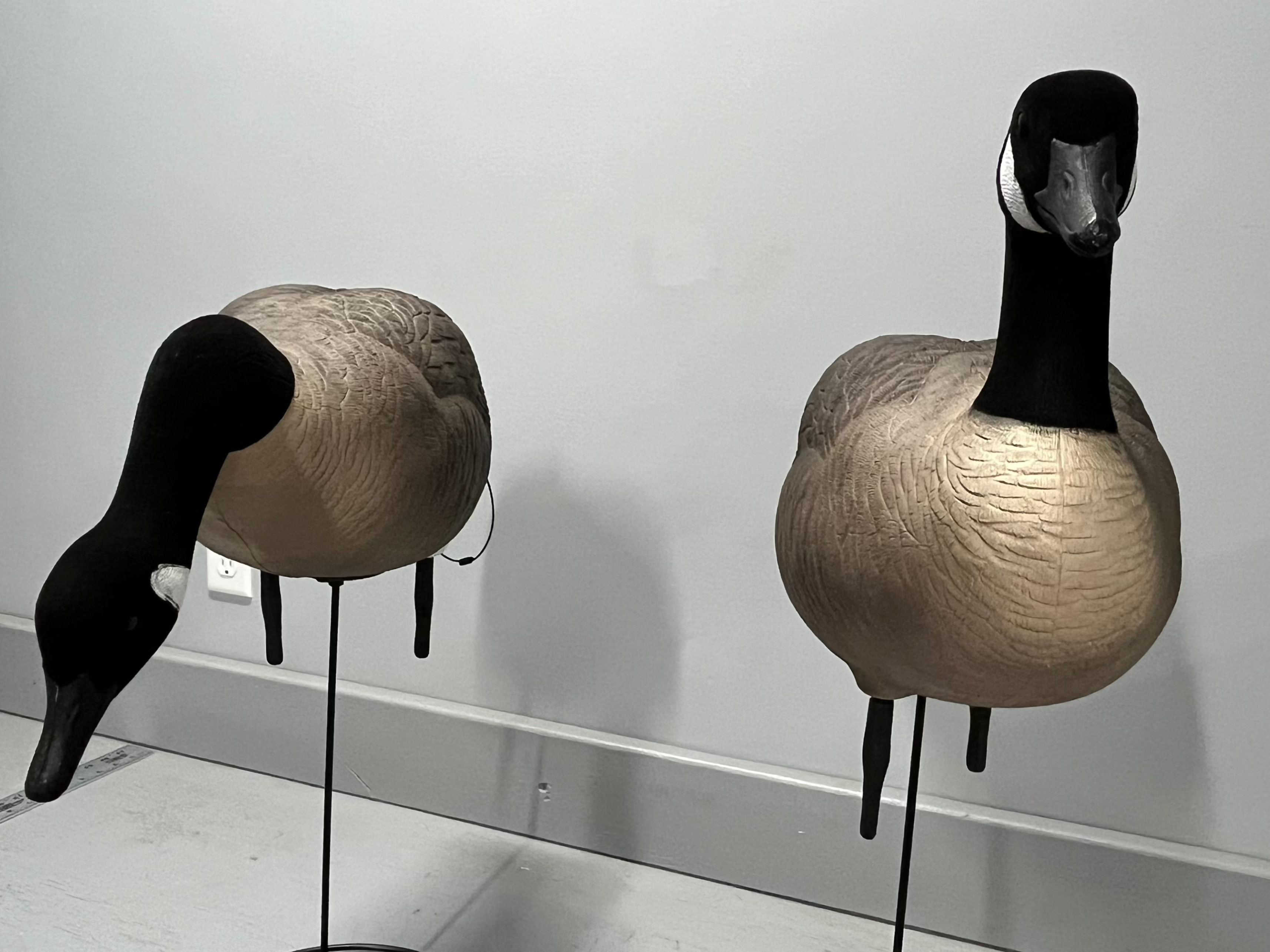 Full Body "Magnum" Canada Goose Decoys "PE Plastic" (hard body) with Flocked Heads and Square Bases - "Per 6-Pack"