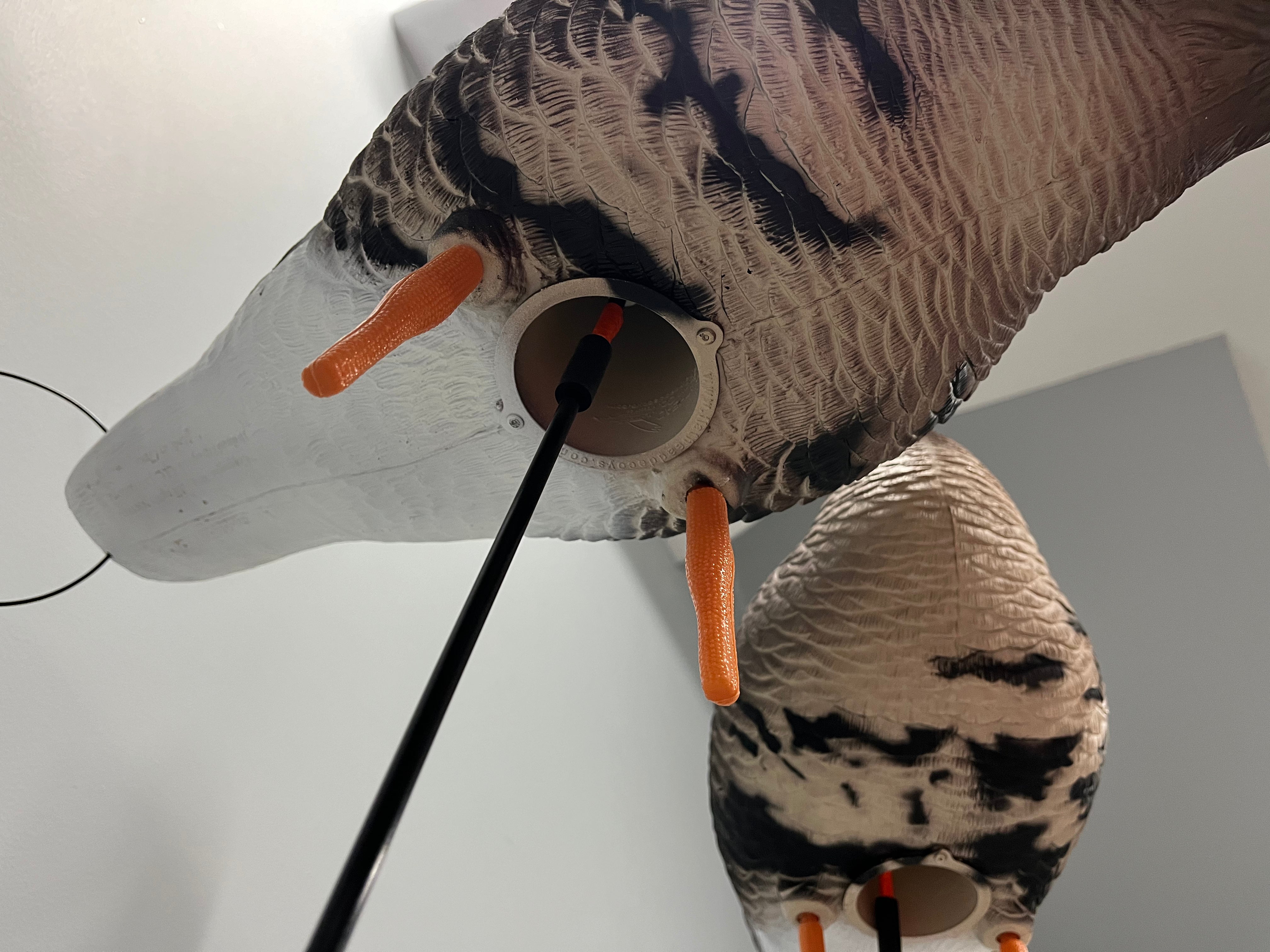 Full Body Specklebelly Goose Decoys "PE Plastic" (hard body) with 14” Square Bases - "Per 6-Pack"