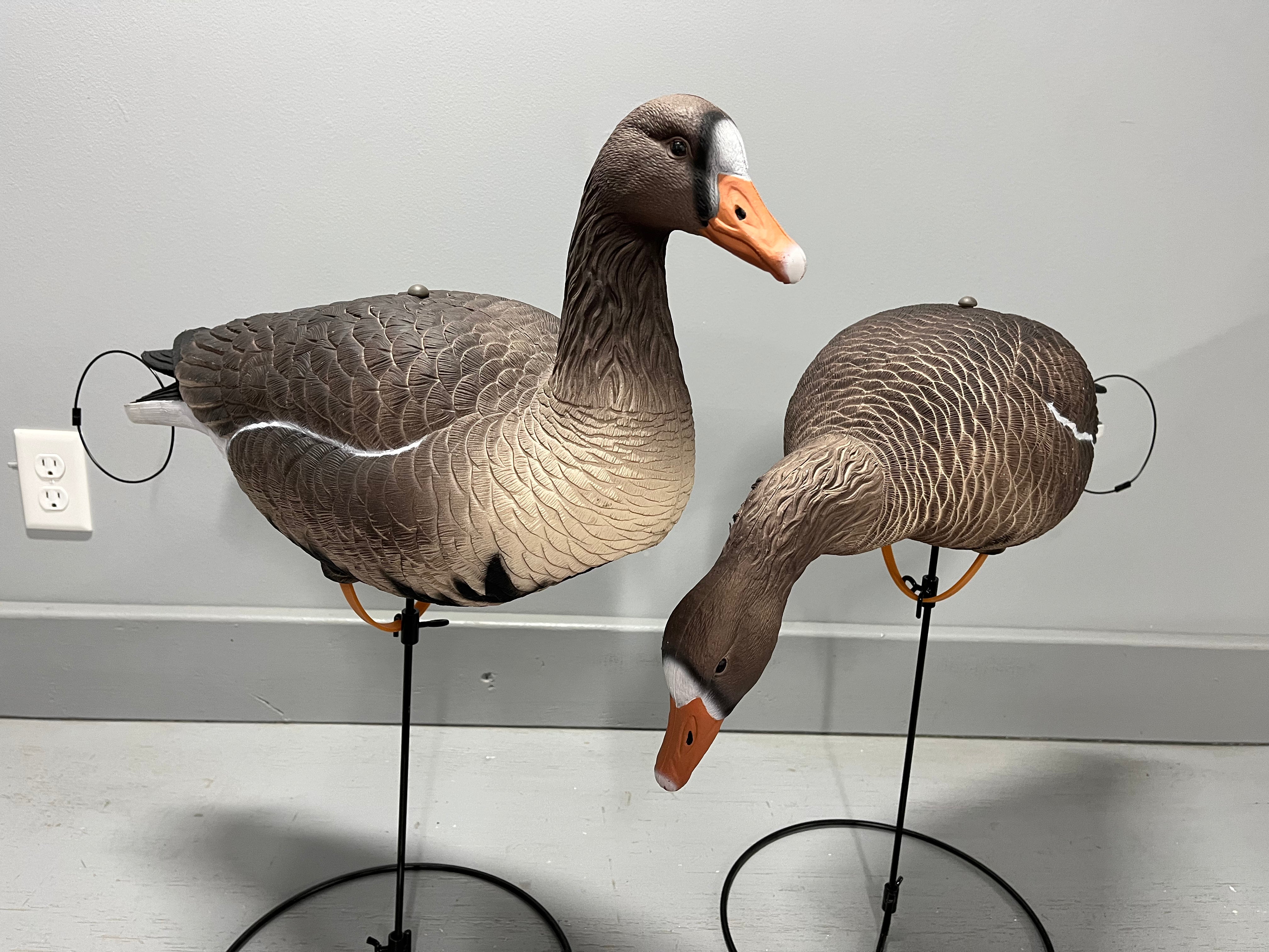 *PRE-ORDER SALE* Full Body Specklebelly Goose Decoys "EVA Plastic" (flexible body) - "Per Dozen"