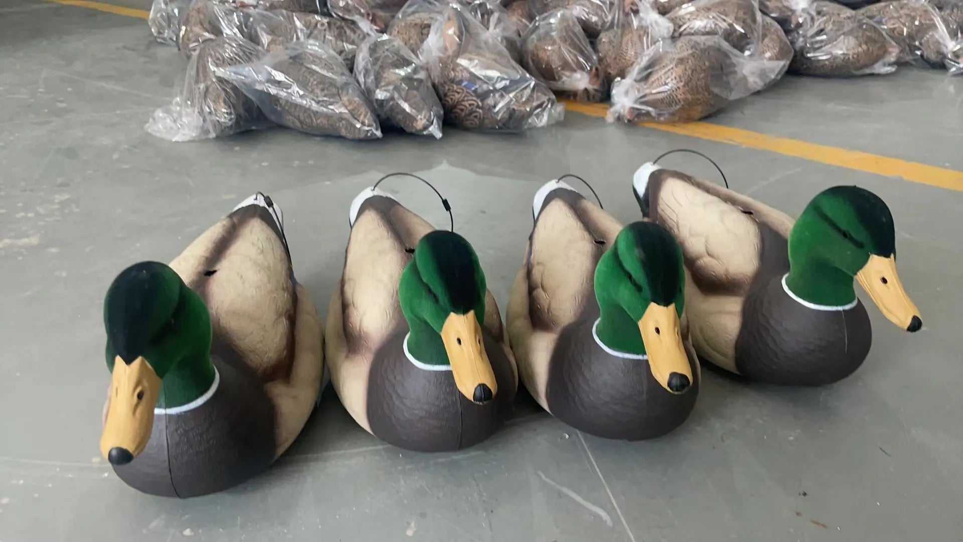 Full Body Field Mallard Duck Decoys “PE Plastic” (hard body) FLOCKED HEADS ON DRAKES