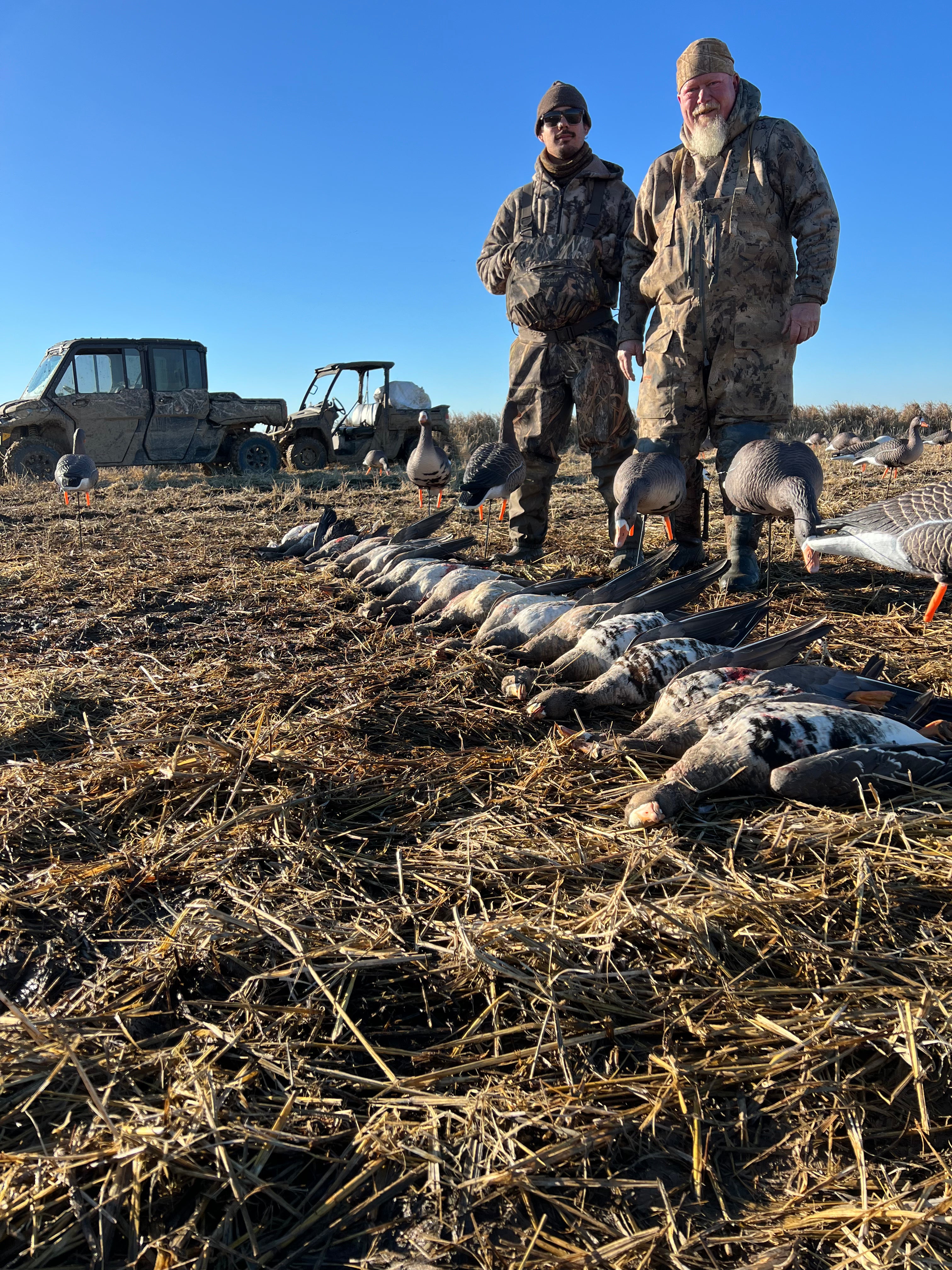 Full Body Specklebelly Goose Decoys "PE Plastic" (hard body) “Per 6-Pack"