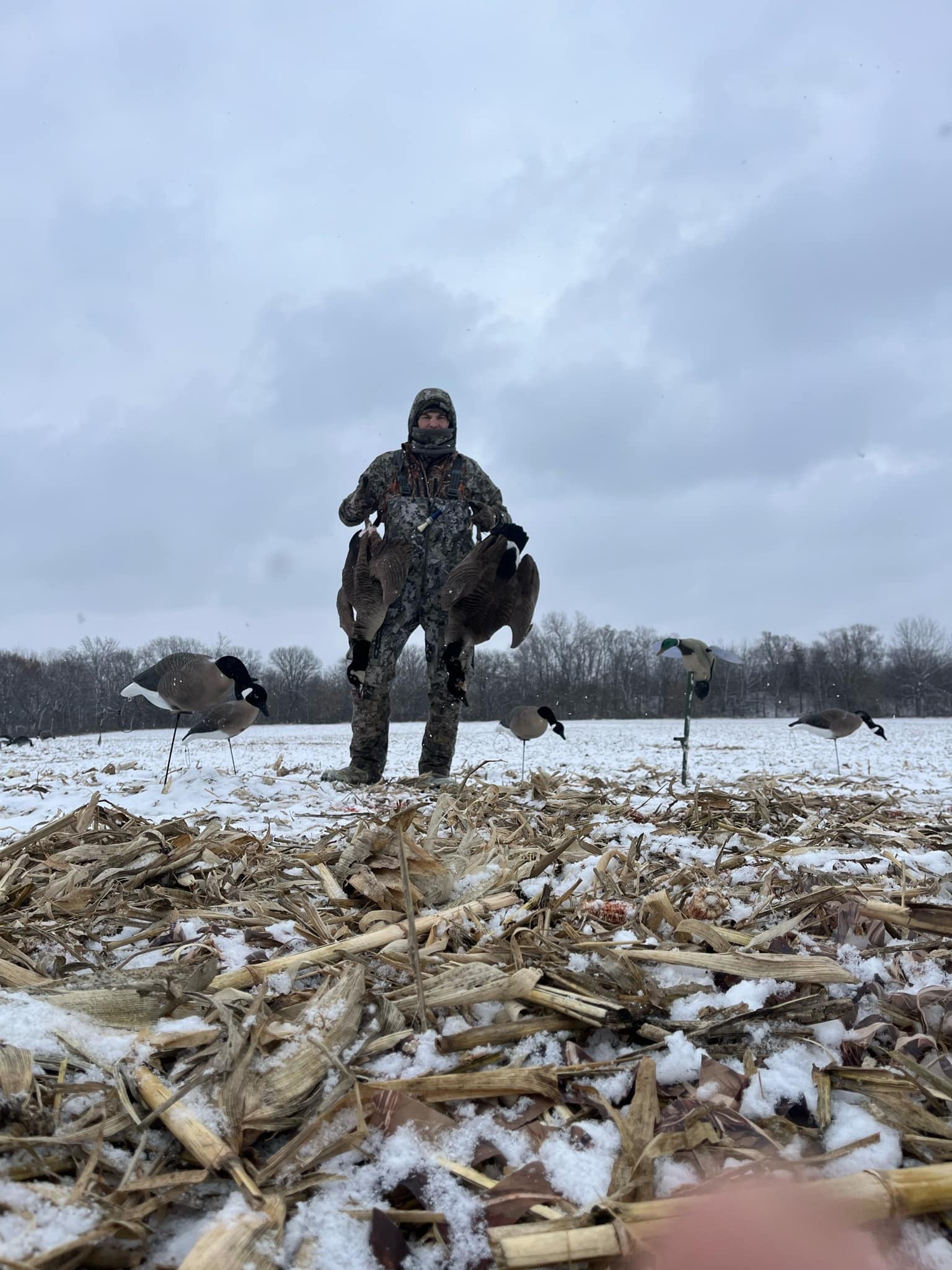 * Pre-Order Sale * Full Body "Magnum" Canada Goose Decoys "PE Plastic" with Flocked Heads. - "Per 6-Pack"