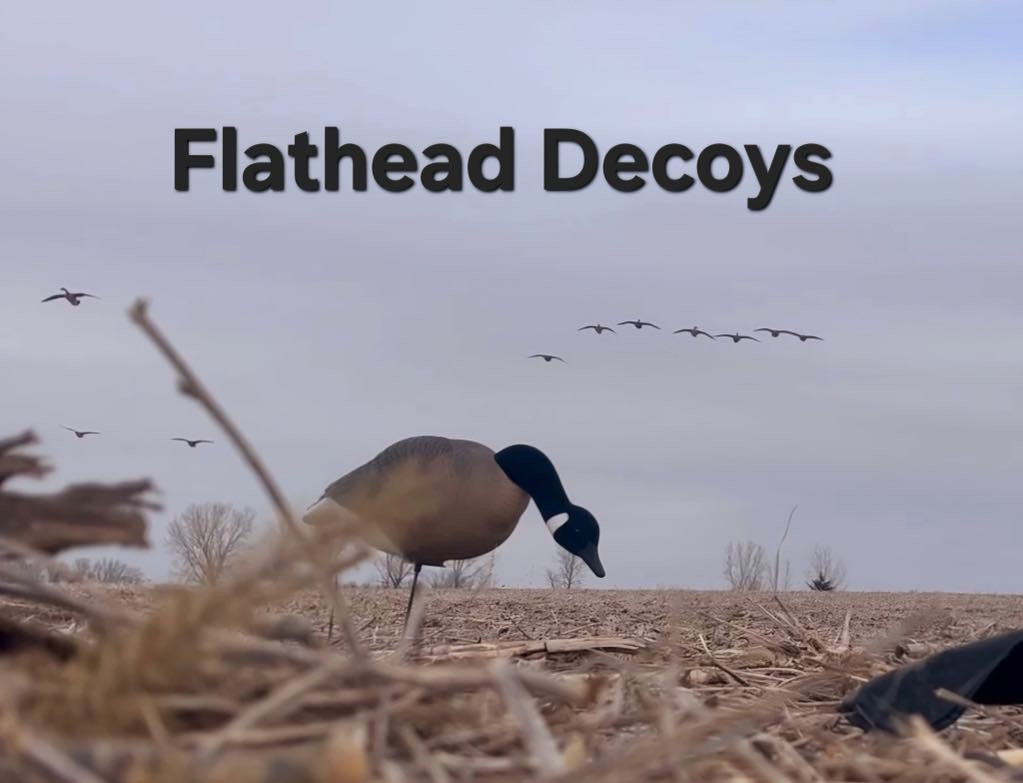 * Pre-Order Sale * Full Body "Magnum" Canada Goose Decoys "PE Plastic" with Flocked Heads. - "Per 6-Pack"