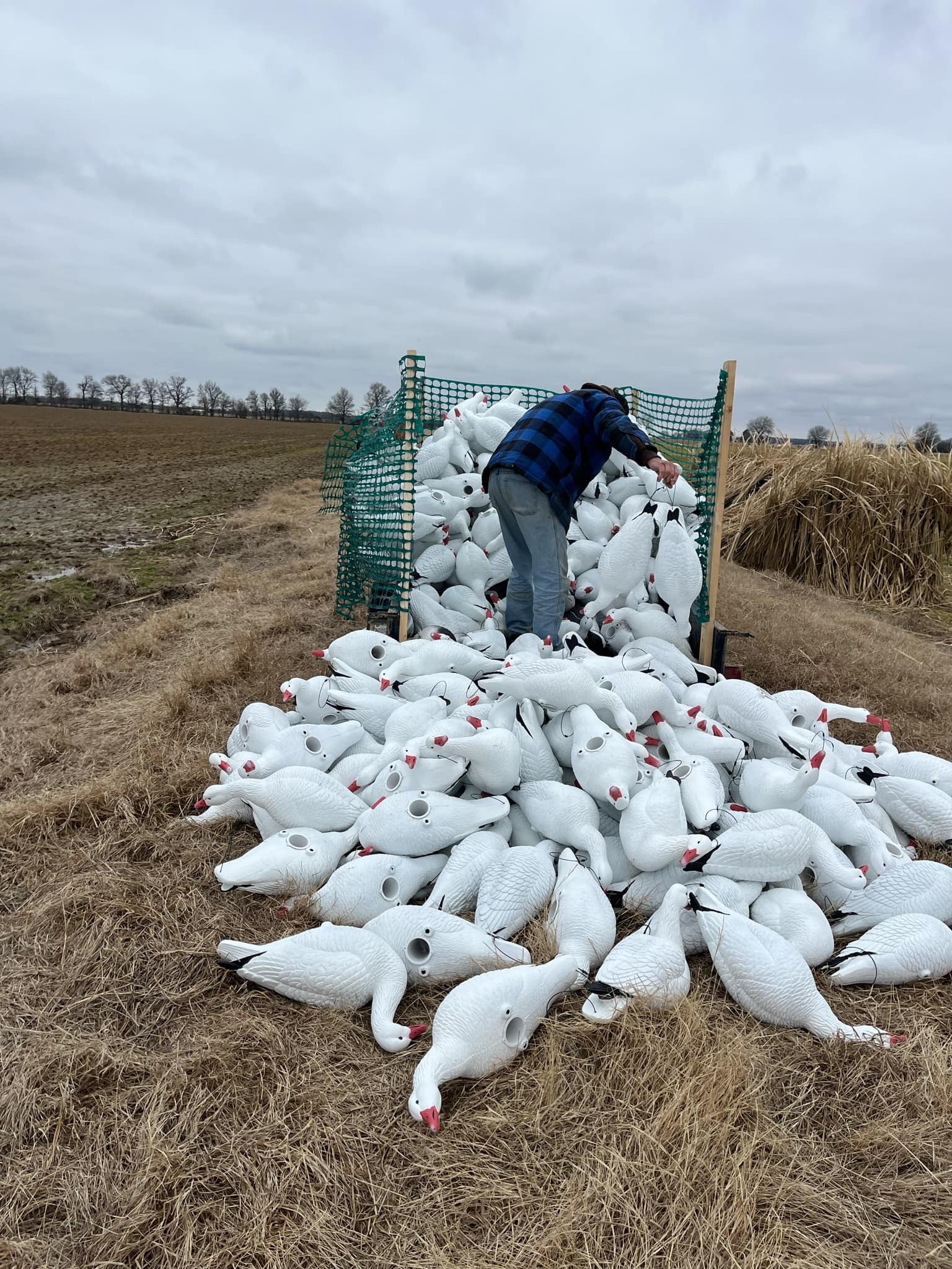 Full Body Snow Goose Decoys "PE Plastic" (hard body) - “Per 6-Pack”