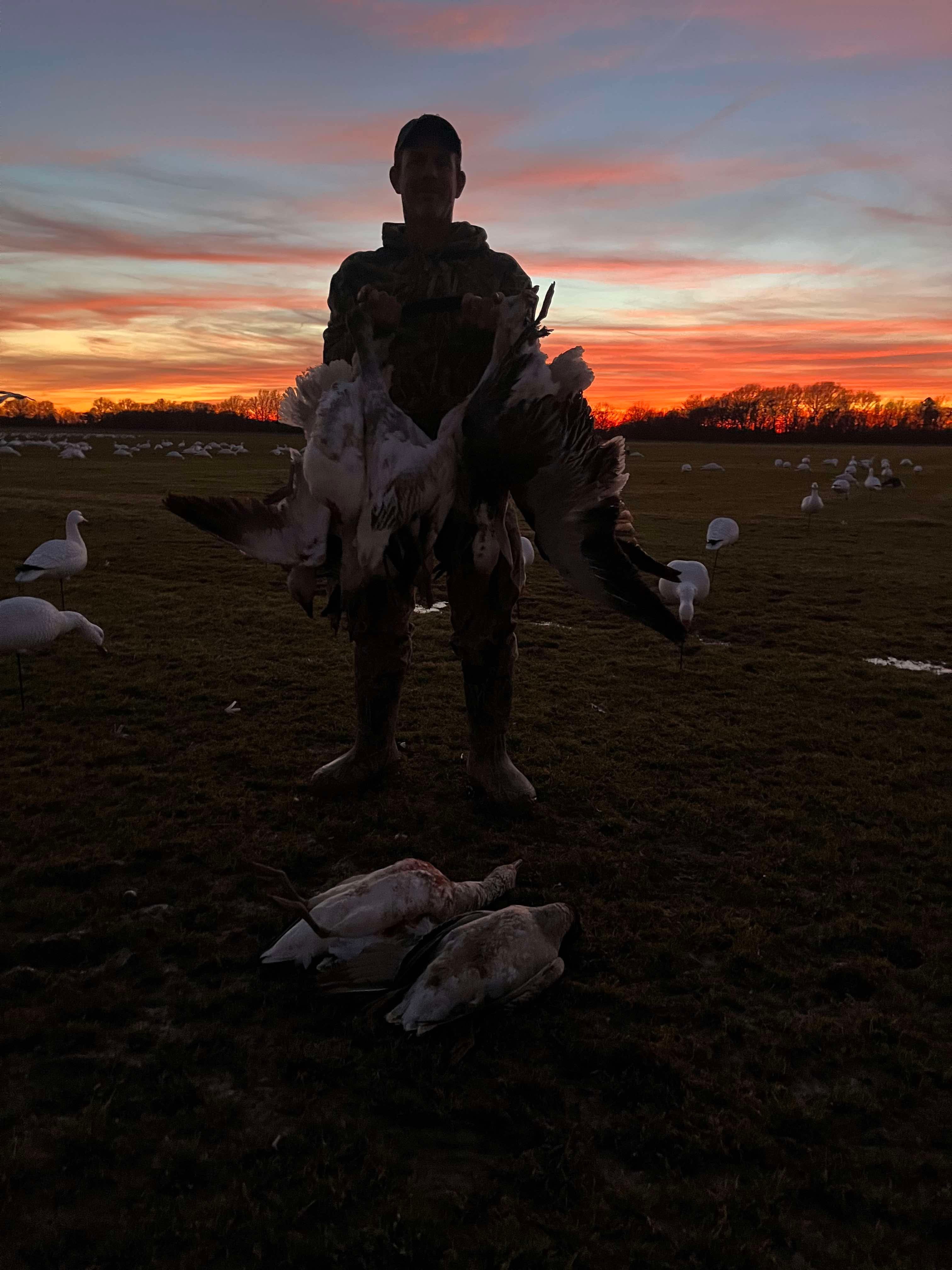 Full Body Snow Goose Decoys "PE Plastic" (hard body) - “Per 6-Pack”