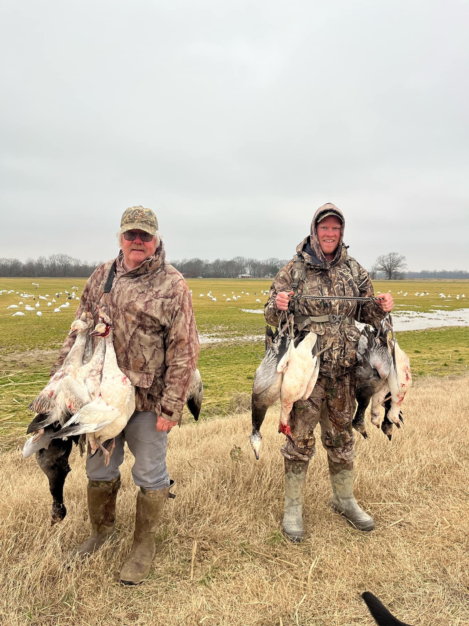 Full Body Snow Goose Decoys "PE Plastic" (hard body) - “Per 6-Pack”
