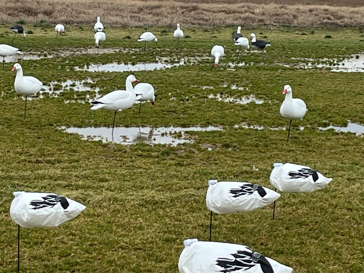 Snow Goose Windsock Decoys - 10 DOZEN