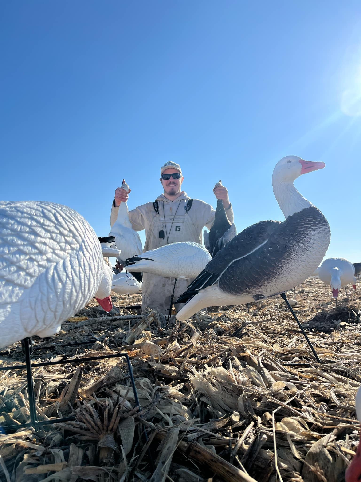 Full Body Snow Goose Decoys "PE Plastic" (hard body) - “Per 6-Pack”