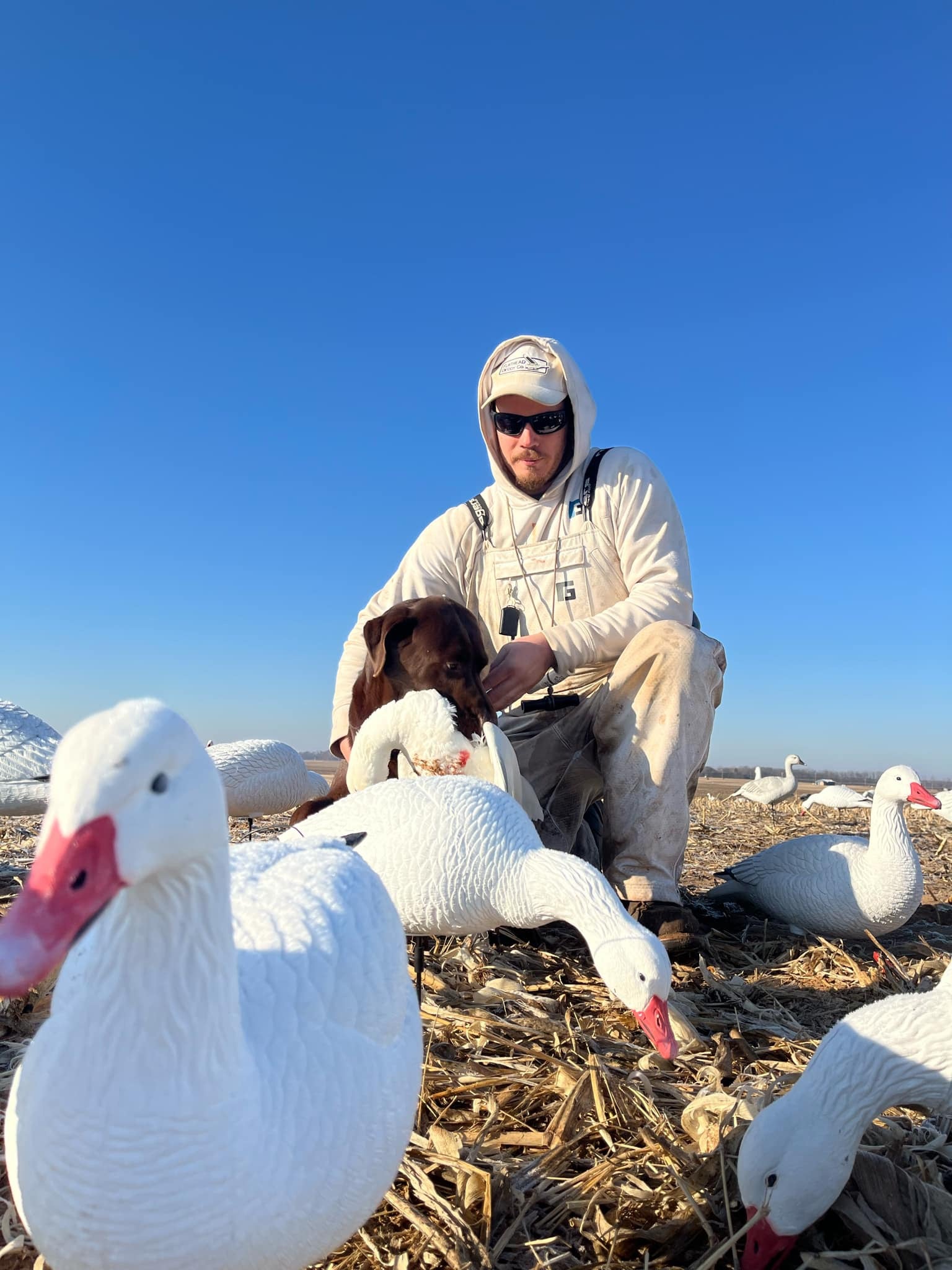 Full Body Snow Goose Decoys "PE Plastic" (hard body) - “Per 6-Pack”