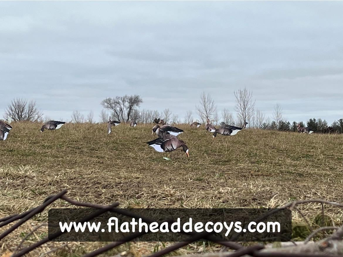 Specklebelly Goose Silhouette Decoys - "Per Dozen"