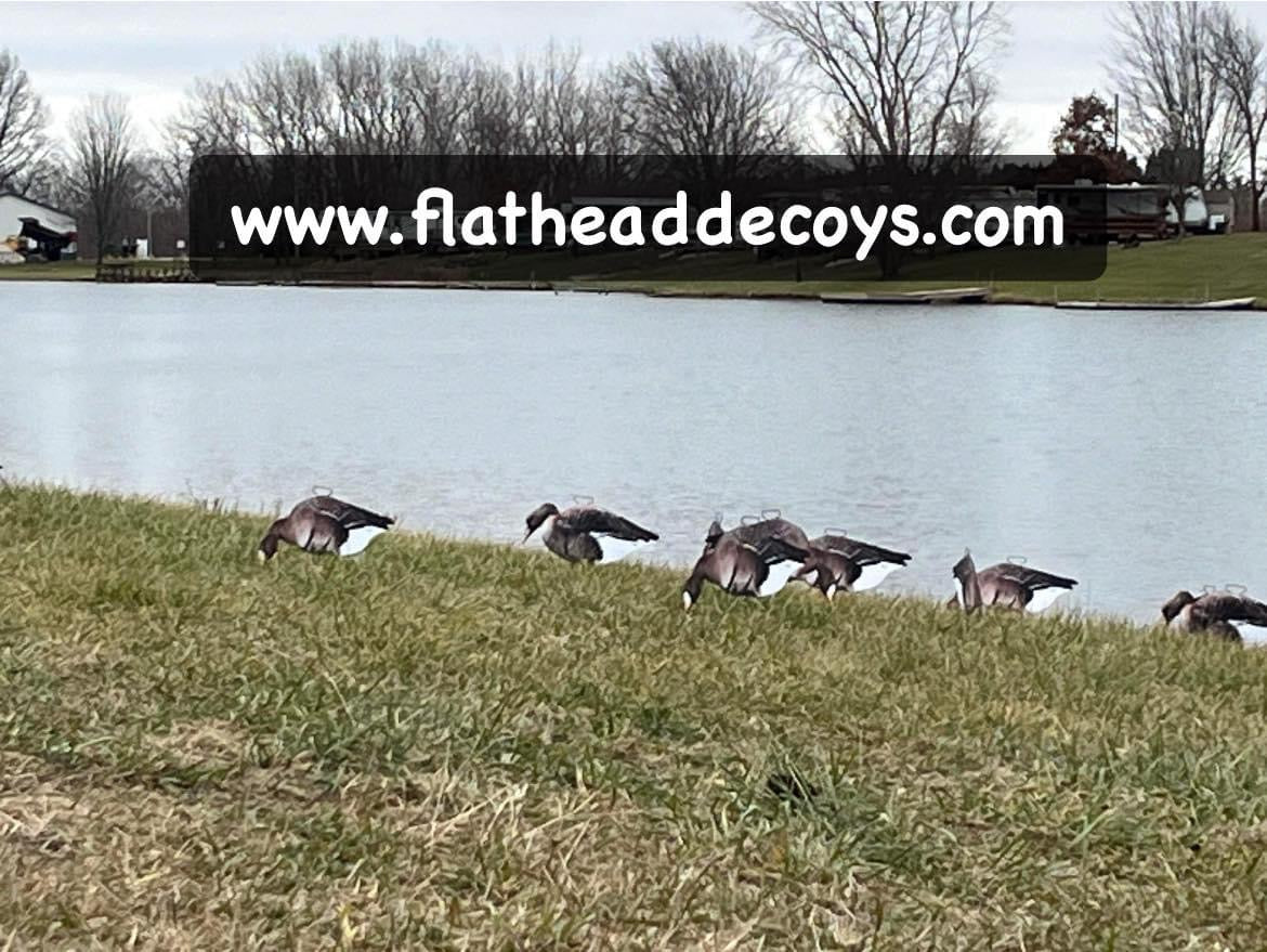 Specklebelly Goose Silhouette Decoys - "Per Dozen"