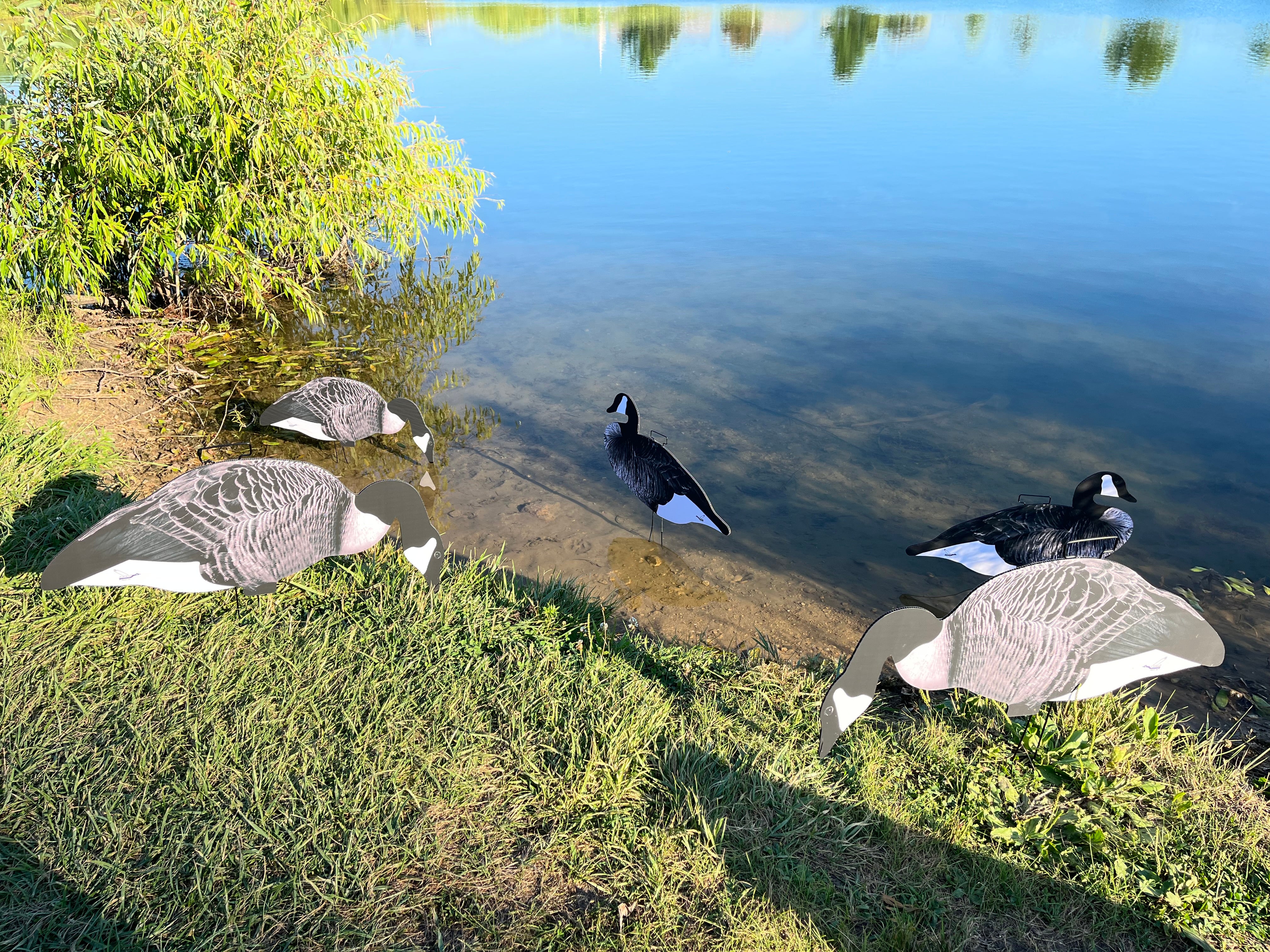 *Pre-Order* Canada Goose Silhouette Decoys - "Per Dozen"