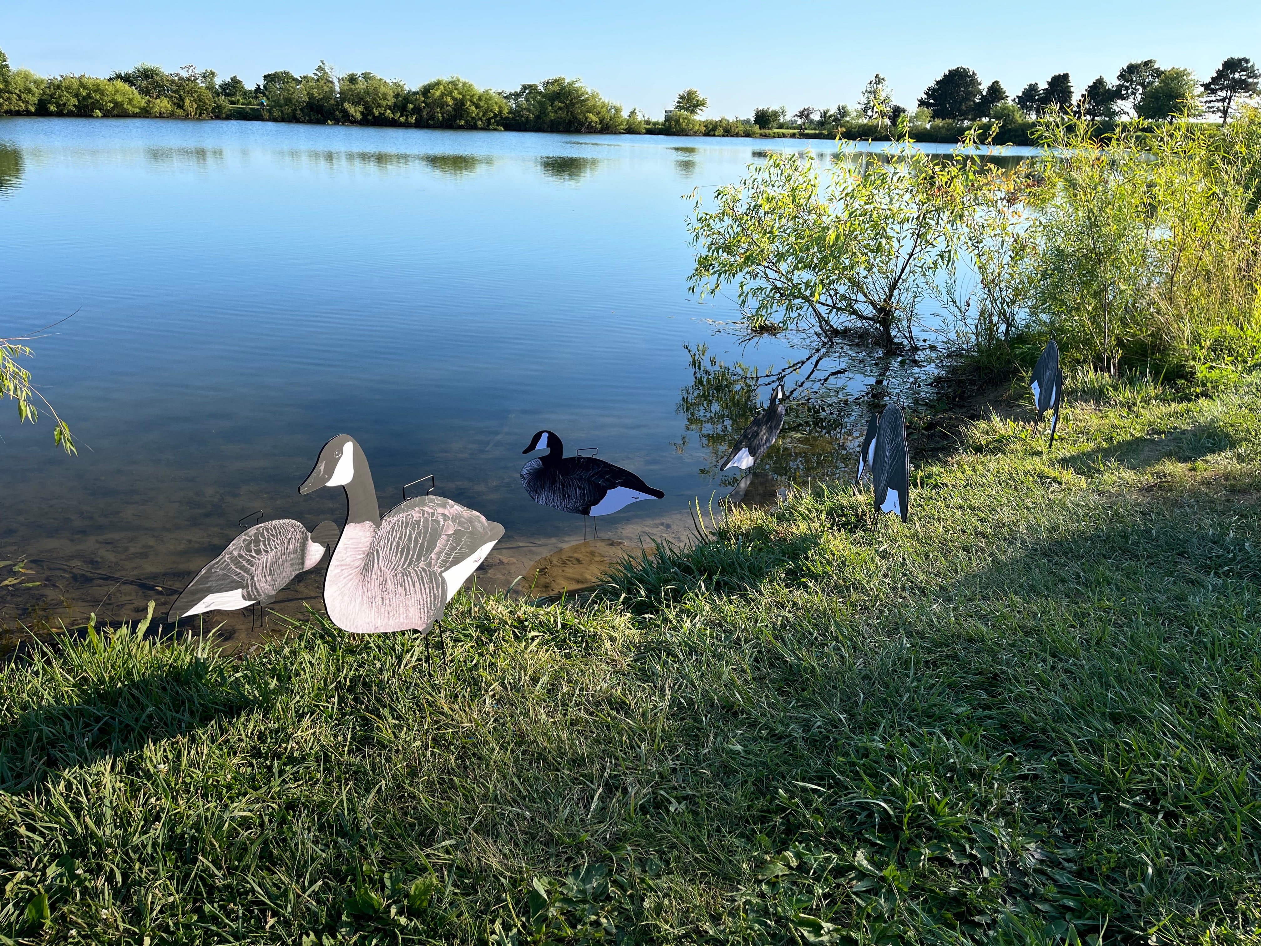 *Pre-Order* Canada Goose Silhouette Decoys - "Per Dozen"
