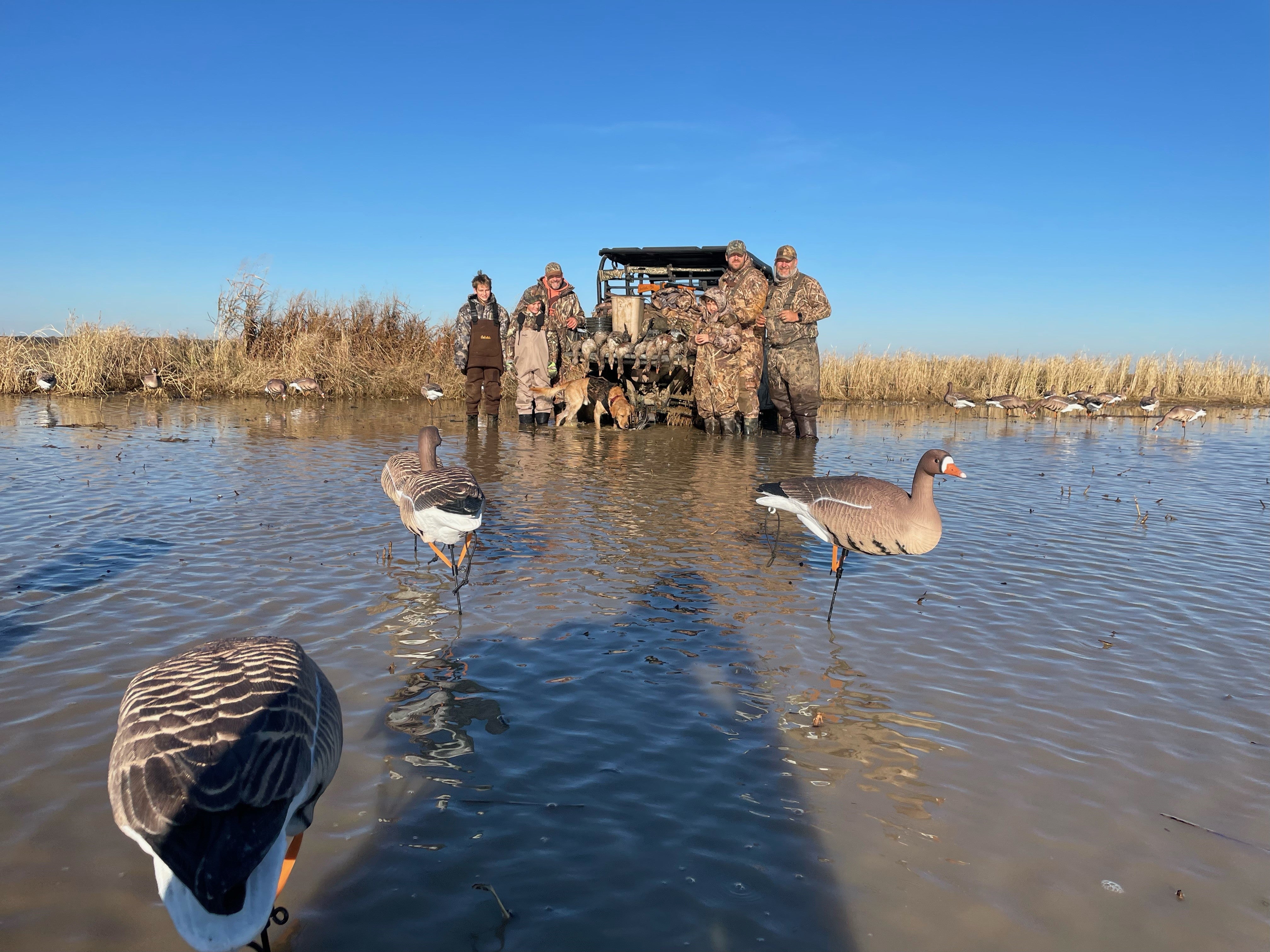 Full Body Specklebelly Goose Decoys "PE Plastic" "Per 6-Pack"