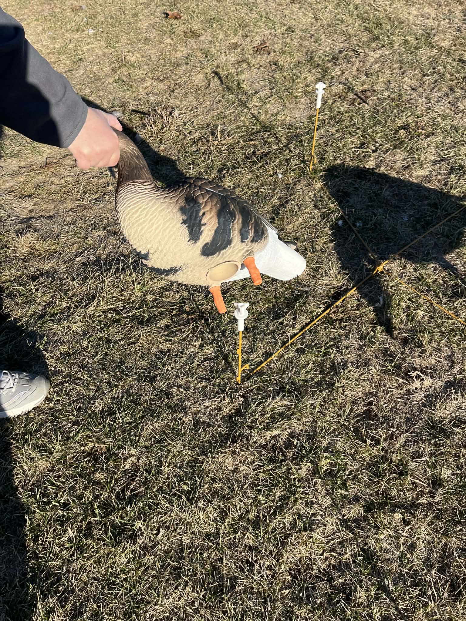 RAPID RACK - Decoy Deployment System (3-Pack - holds 12 decoys)