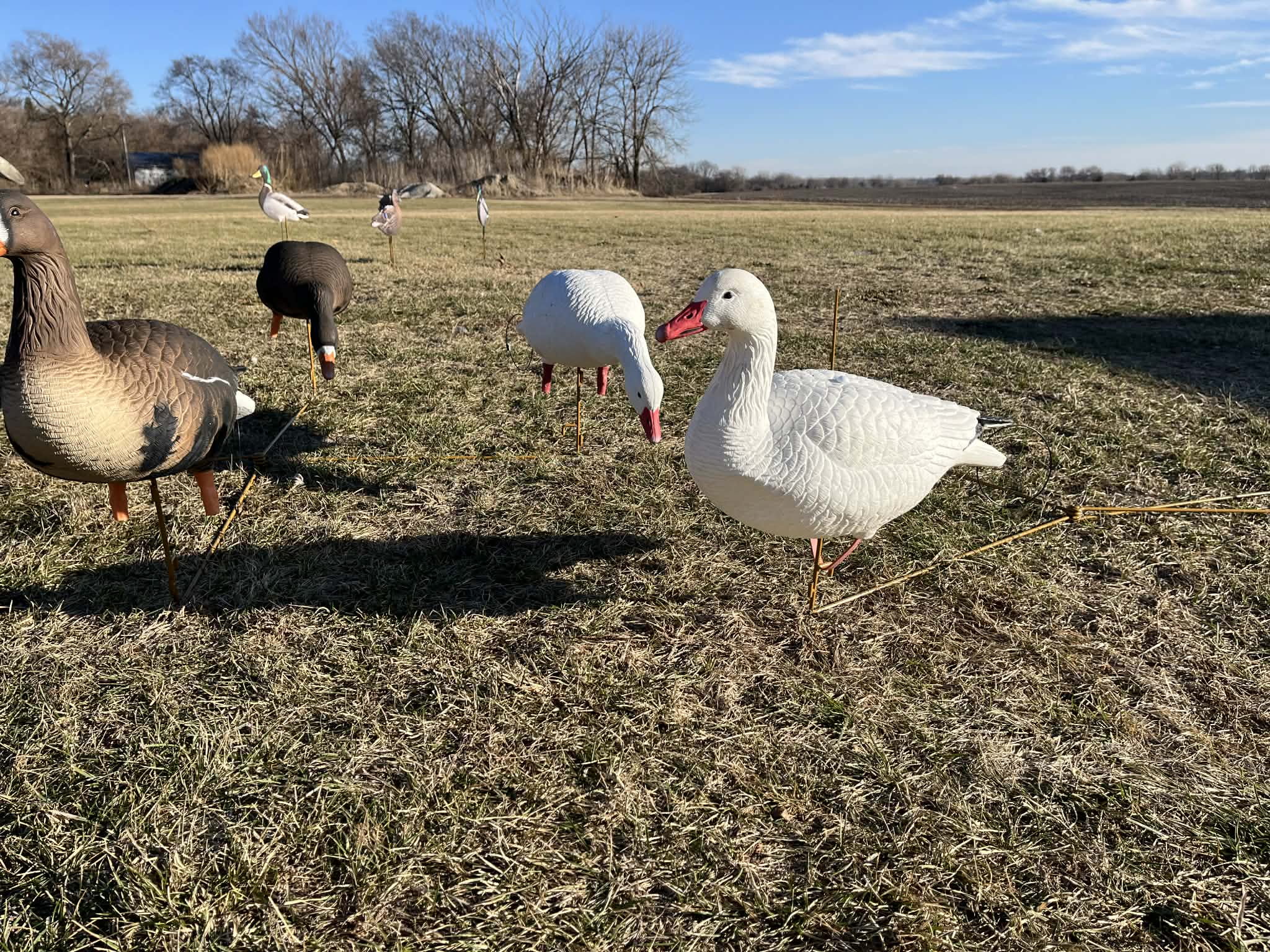 RAPID RACK - Decoy Deployment System (3-Pack - holds 12 decoys)