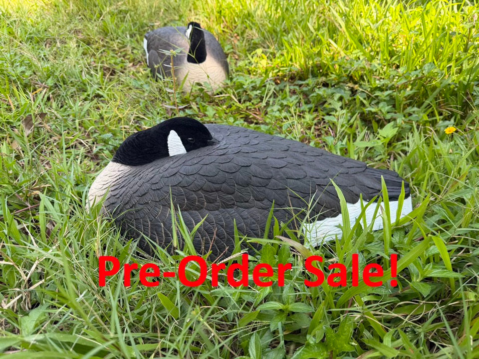 *PRE-ORDER SALE* Canada Goose Sleeper Shells "Per 6-Pack"