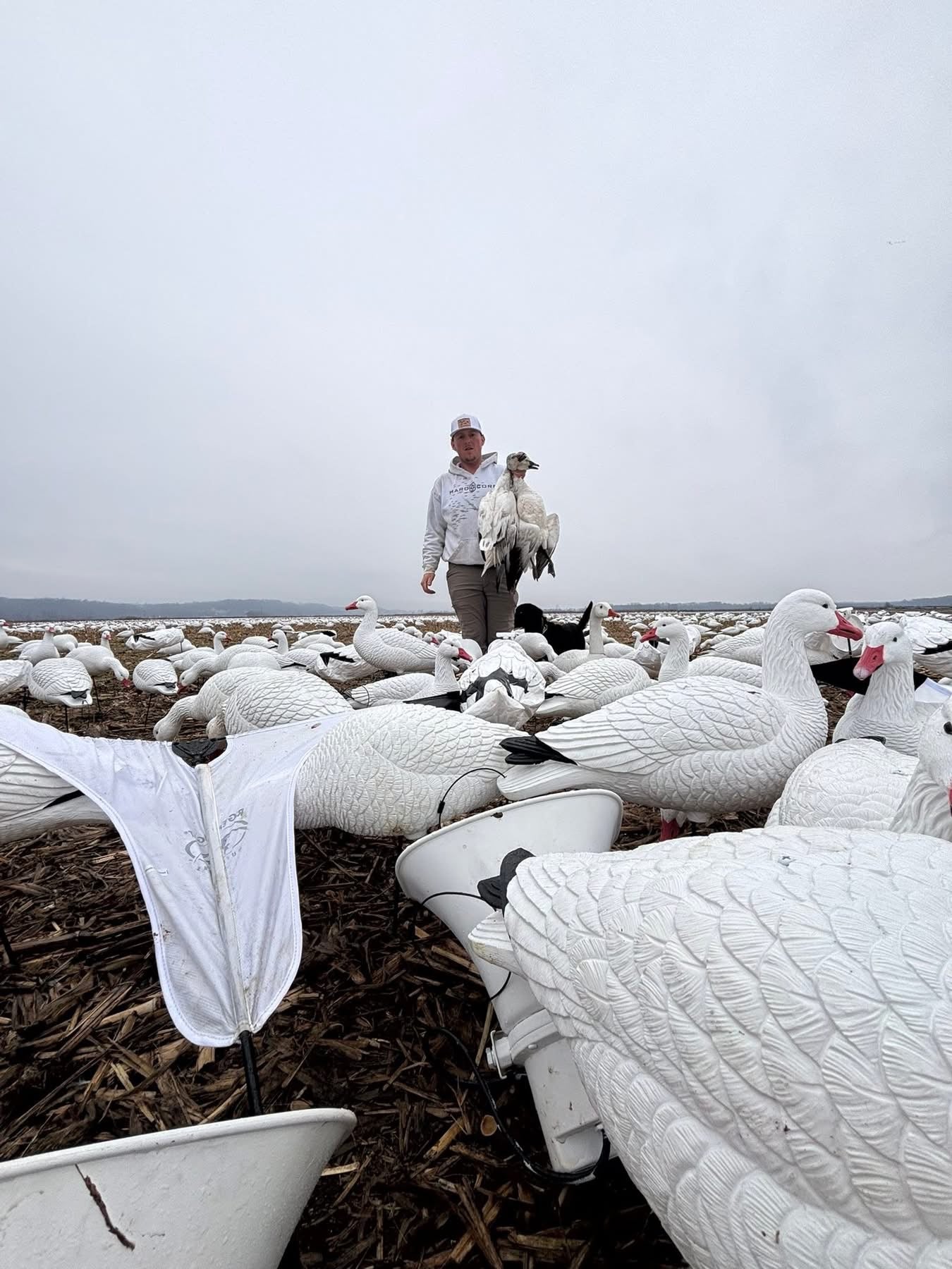 Full Body Snow Goose Decoys "PE Plastic" (hard body) with Square Bases - "Per 6-Pack"