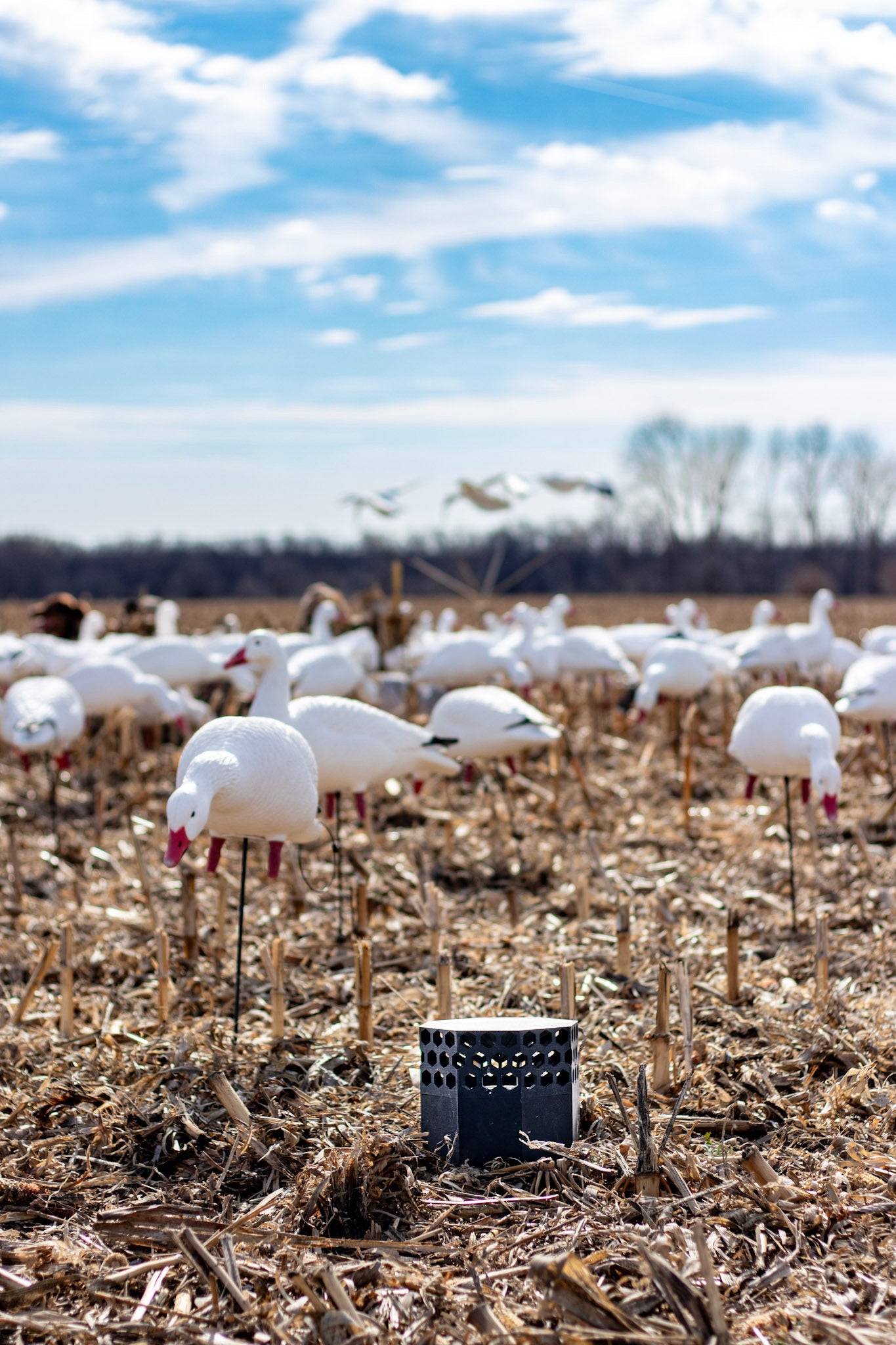 Full Body Snow Goose Decoys "PE Plastic" (hard body) with Square Bases - "Per 6-Pack"