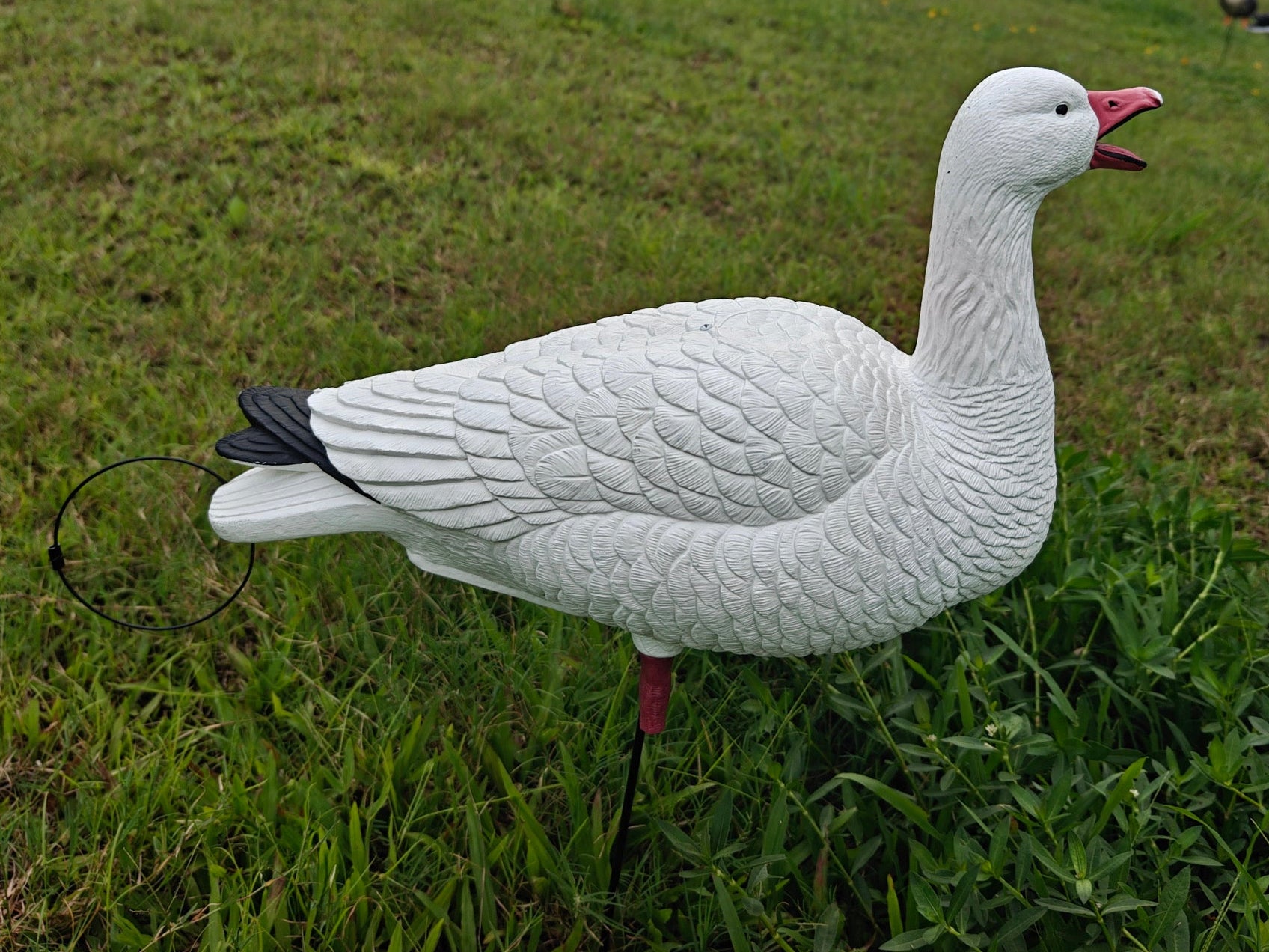 Full Body "Open Mouth" Snow Goose Decoys "PE Plastic" (hard body) - "Per 4-Pack"
