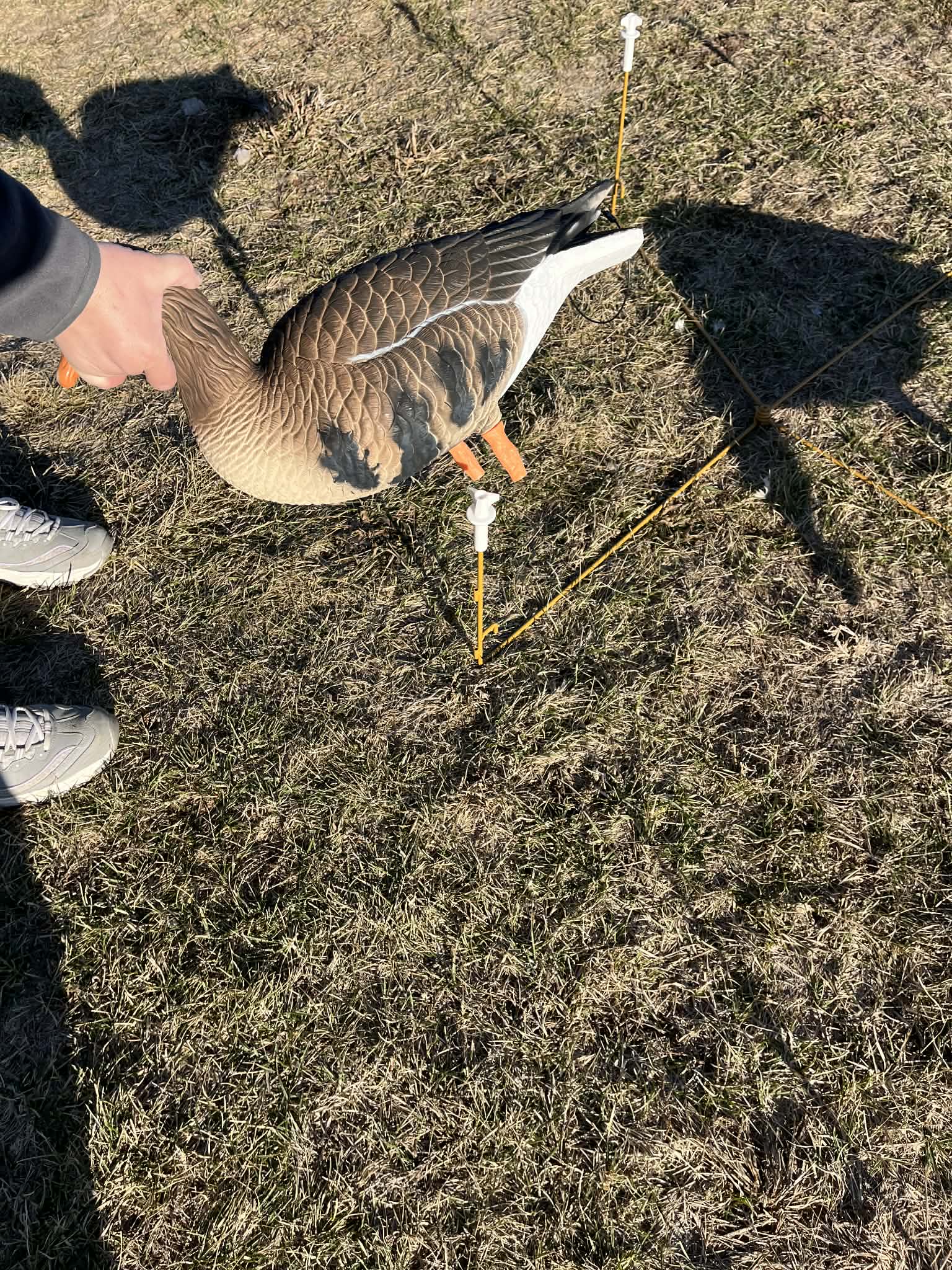 RAPID RACK - Decoy Deployment System (3-Pack - holds 12 decoys)