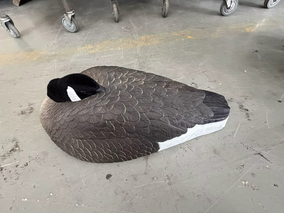 *PRE-ORDER SALE* Canada Goose Sleeper Shells "Per 6-Pack"